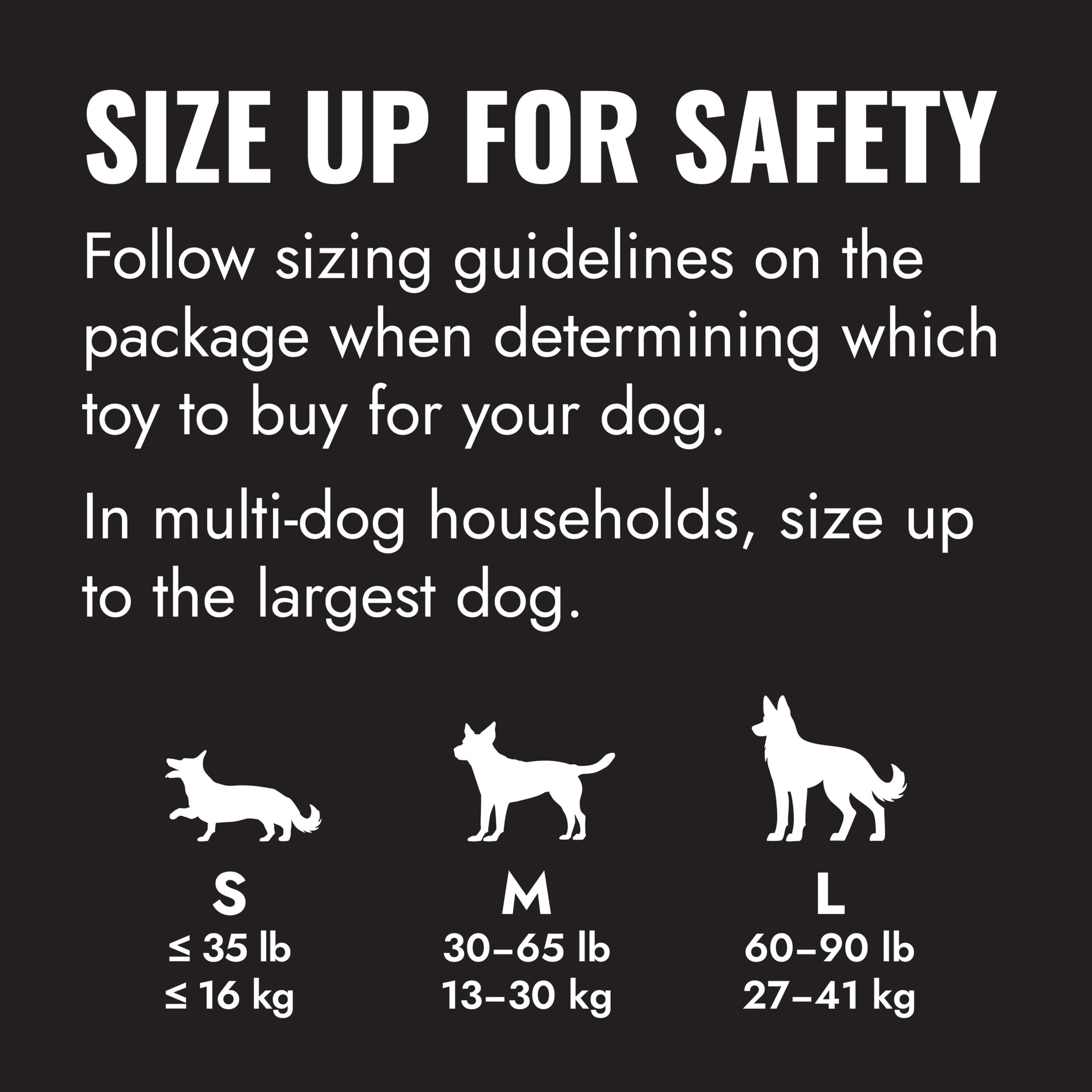 KONG Extreme Ball Dog Toy