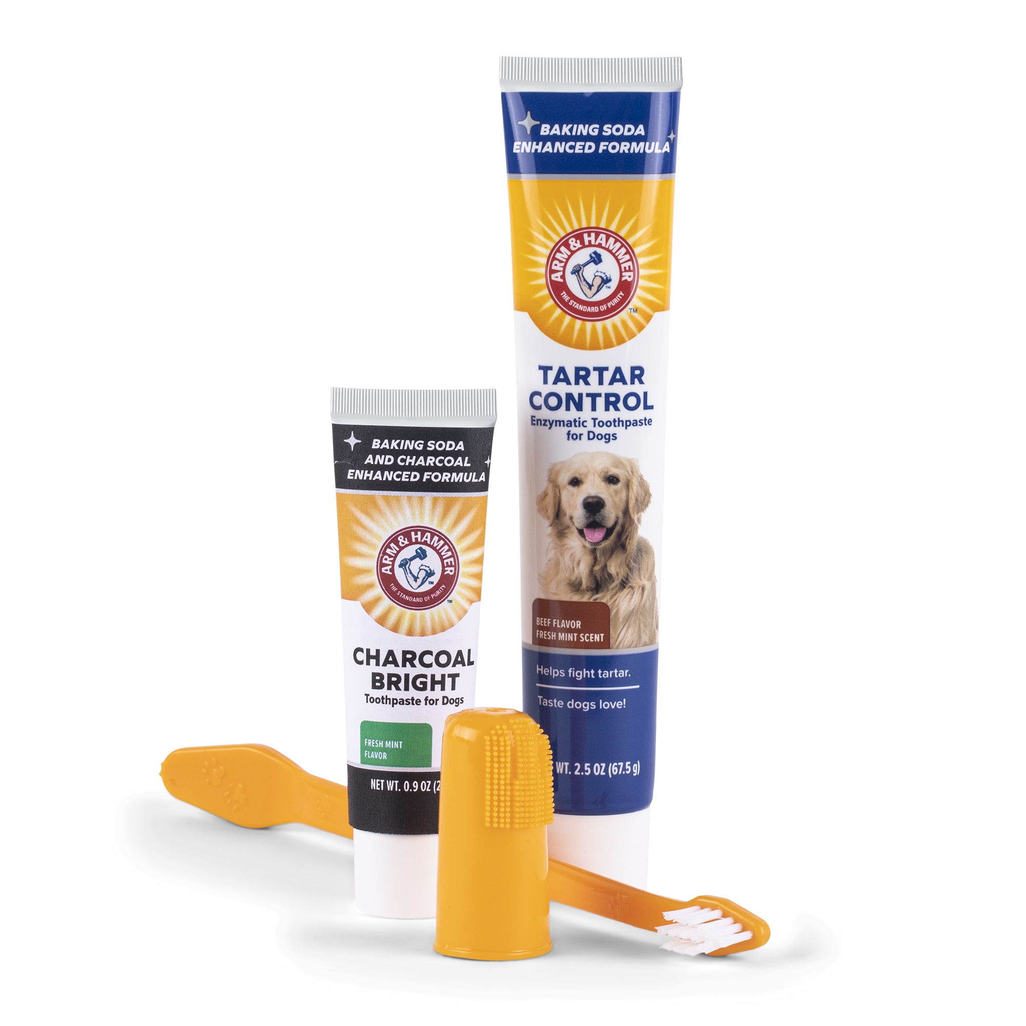 Arm and Hammer Tartar Control Dental Kit for Dogs with Bonus Charcoal Bright Sample Tube