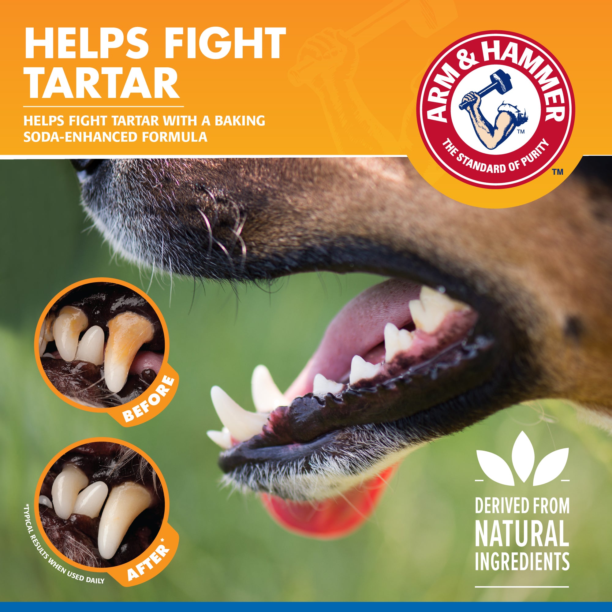 Arm and Hammer Tartar Control Dental Spray for Dogs Mint