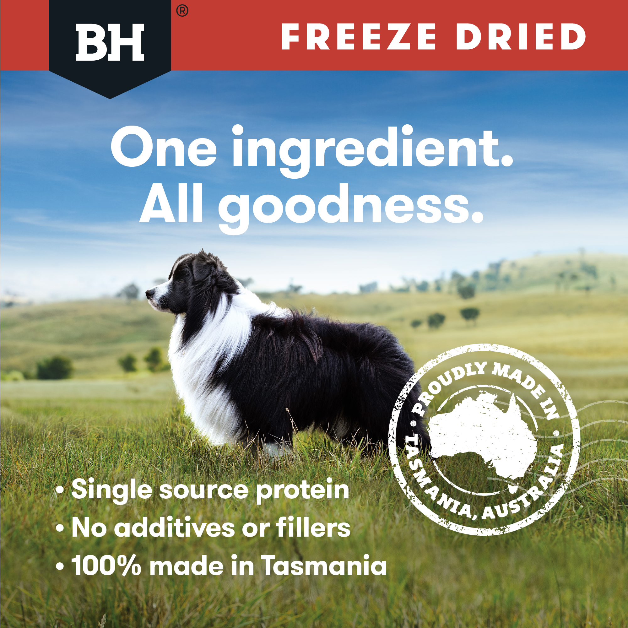 Black Hawk Freeze Dried Kangaroo Dog Treat 40g
