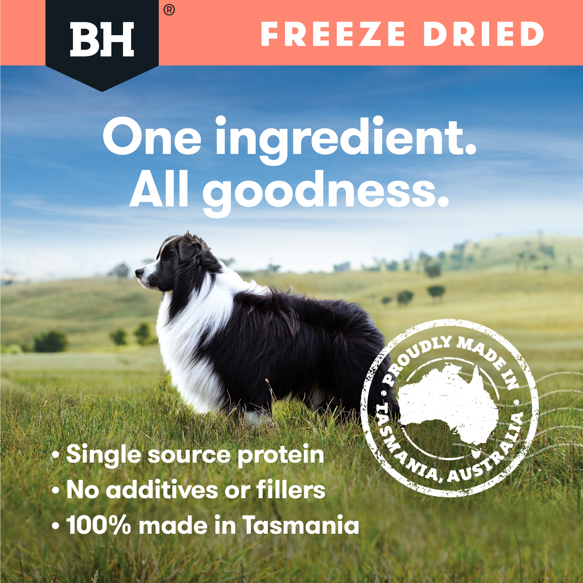 Black Hawk Freeze Dried Whole Salmon Dog Treat 45g