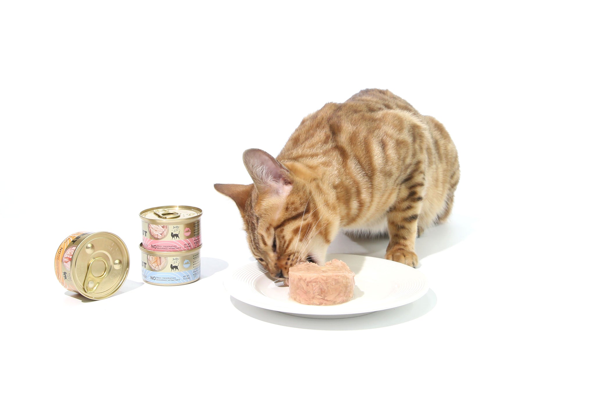 CAT FOREST Tuna White Meat with Chicken in Jelly Cat Wet Food 85g x 24