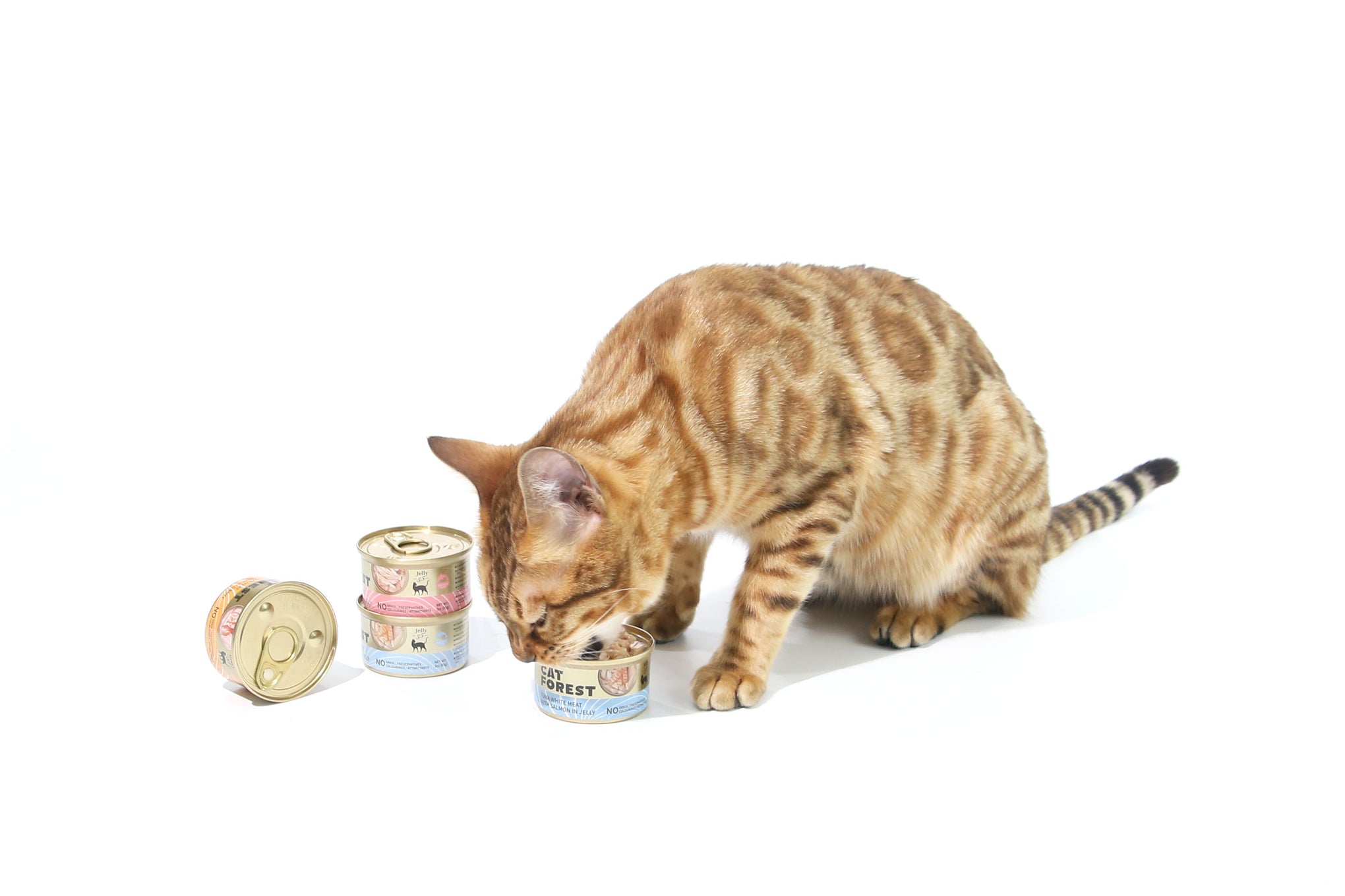 CAT FOREST Tuna White Meat with Salmon in Jelly Cat Wet Food 85g x 24