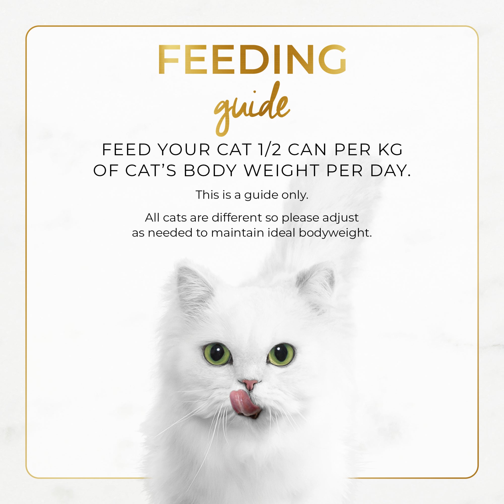 Fancy Feast Classic Pate Chicken Feast Gourmet Wet Cat Food 85g x 48