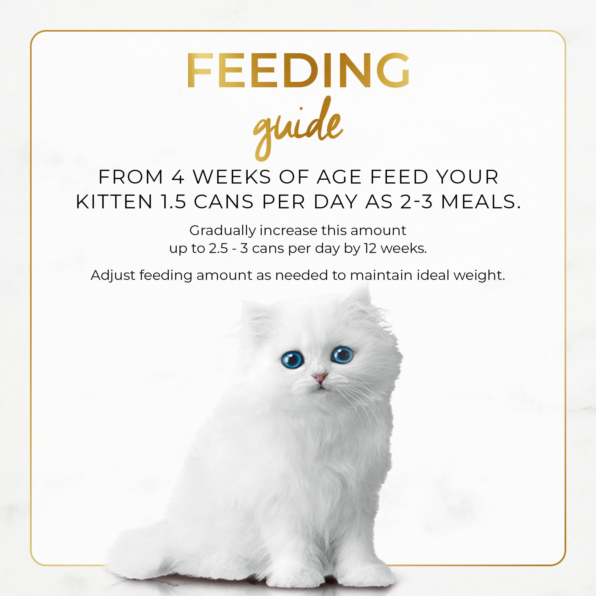 Fancy Feast Classic Pate Kitten Tender Chicken Feast Gourmet Wet Cat Food 85g x 48