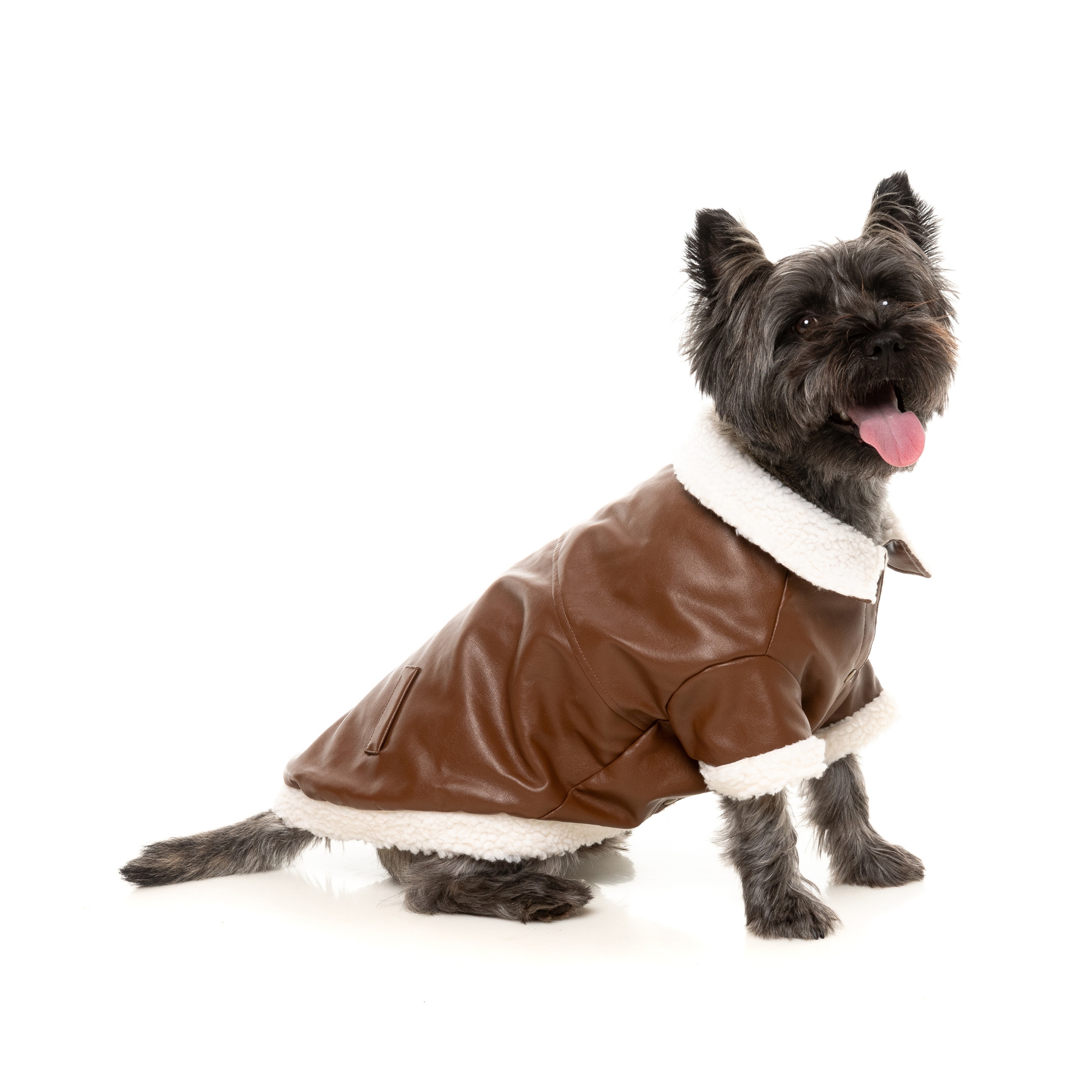 FuzzYard Ava Dog Jacket Brown