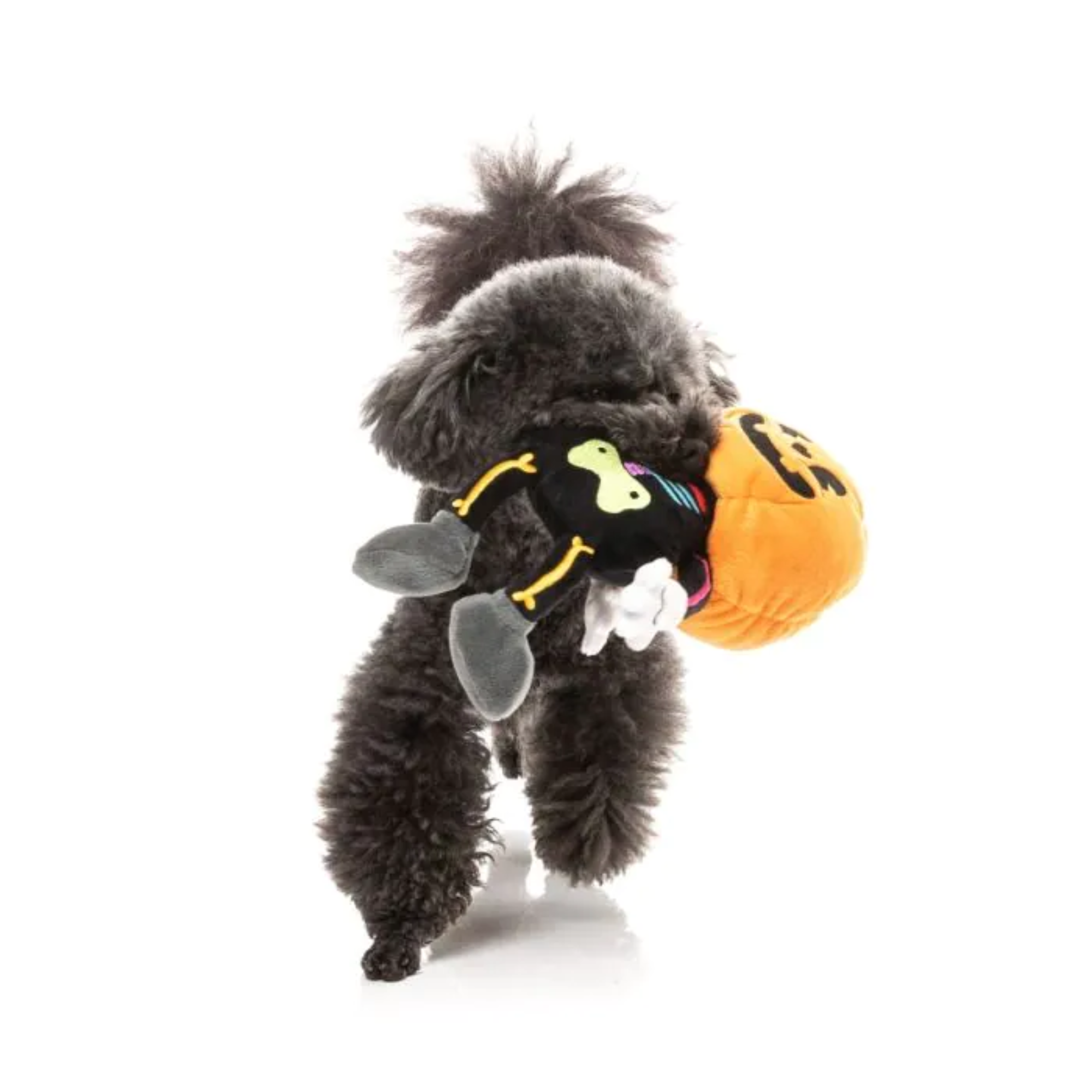 FuzzYard Boo-Ternut Dog Toy