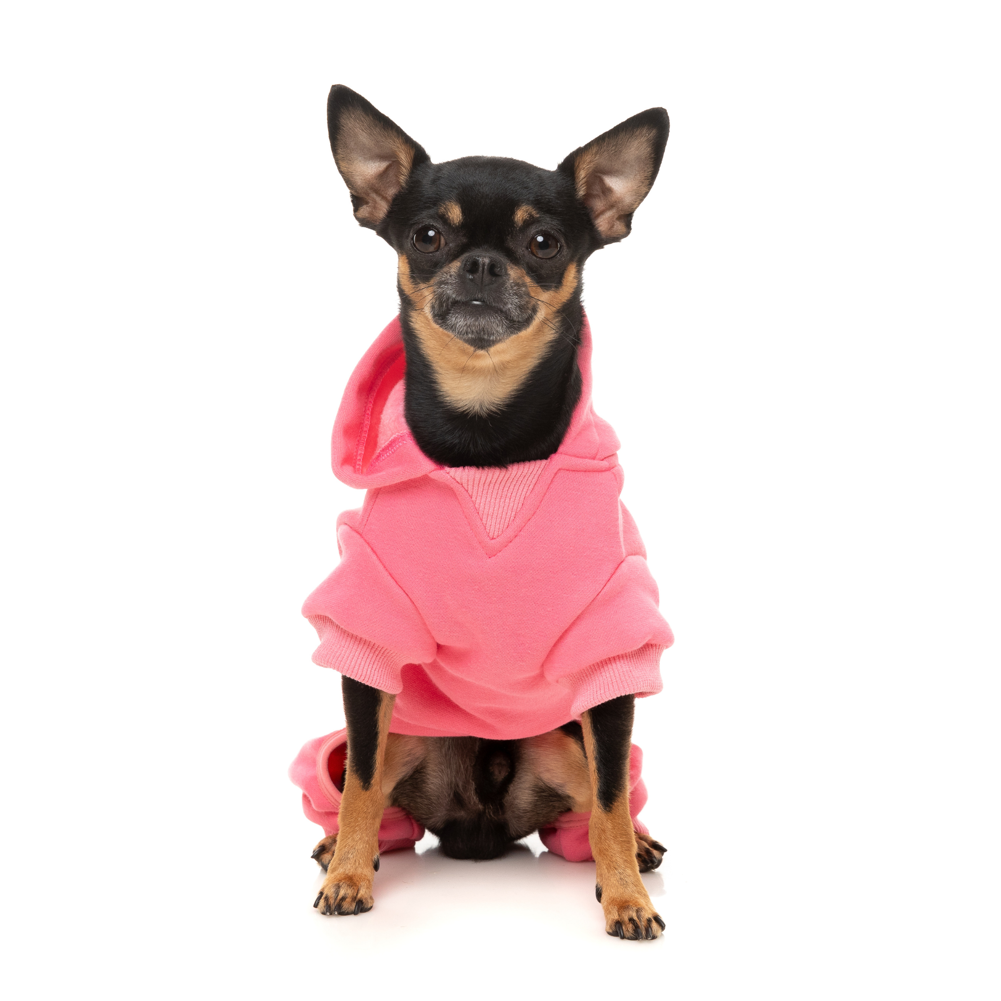 FuzzYard Chillin' Dog Tracksuit Pink