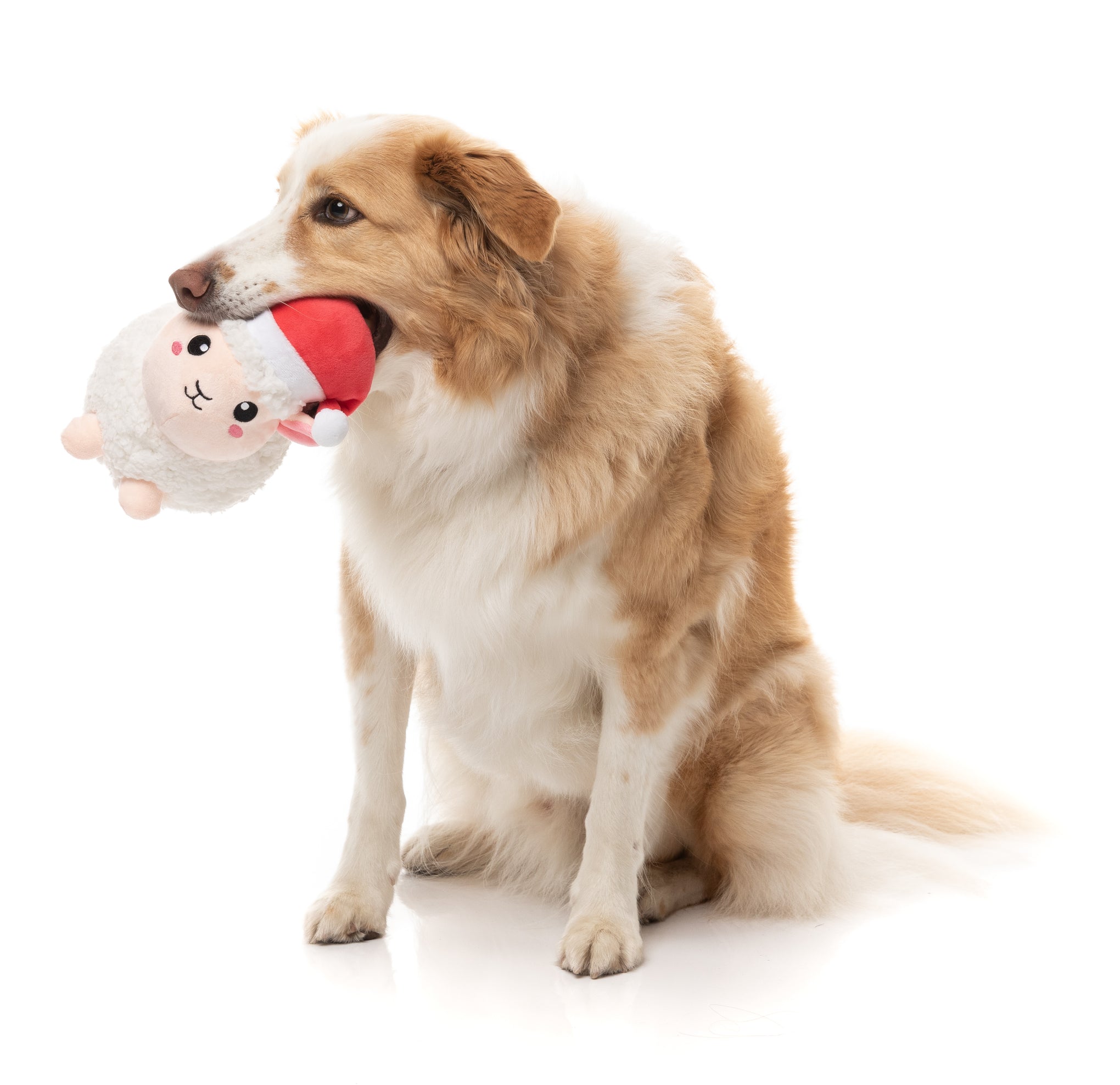 FuzzYard Fleece Navidad Dog Toy