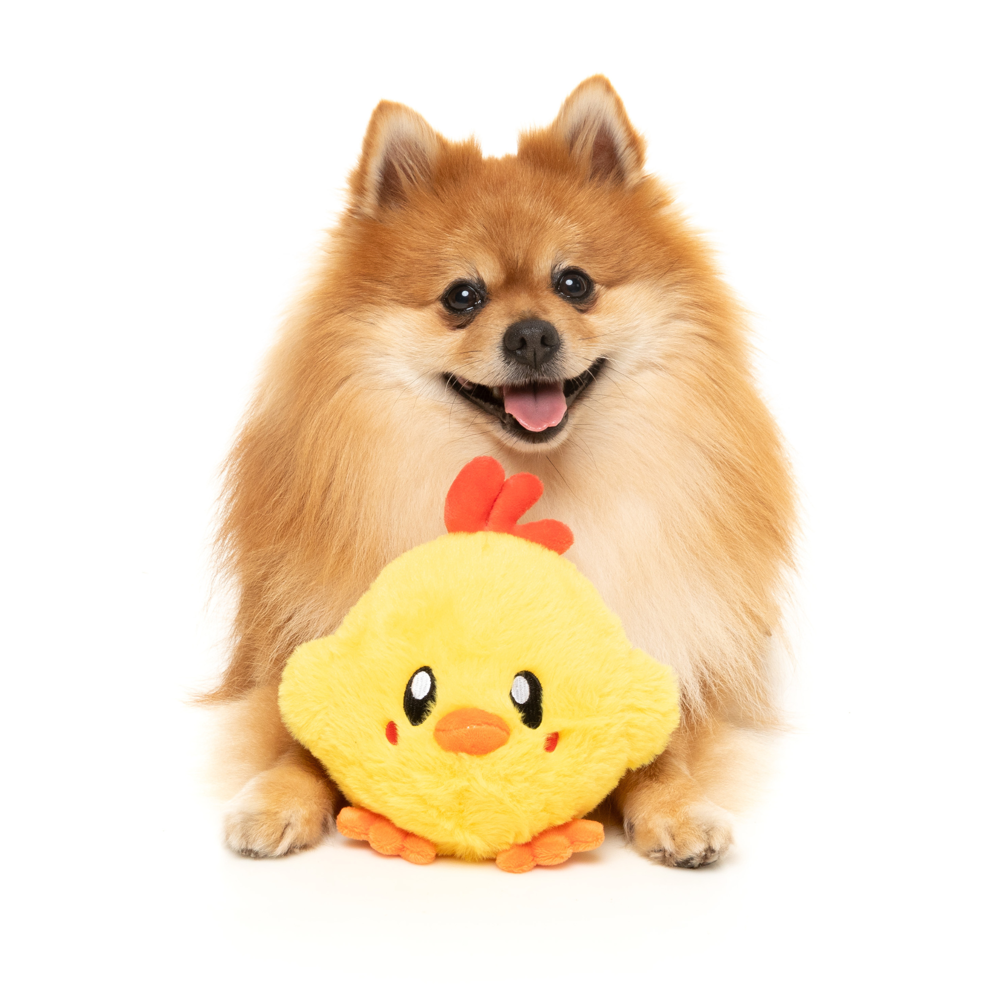 FuzzYard Hen-rietta Dog Toy