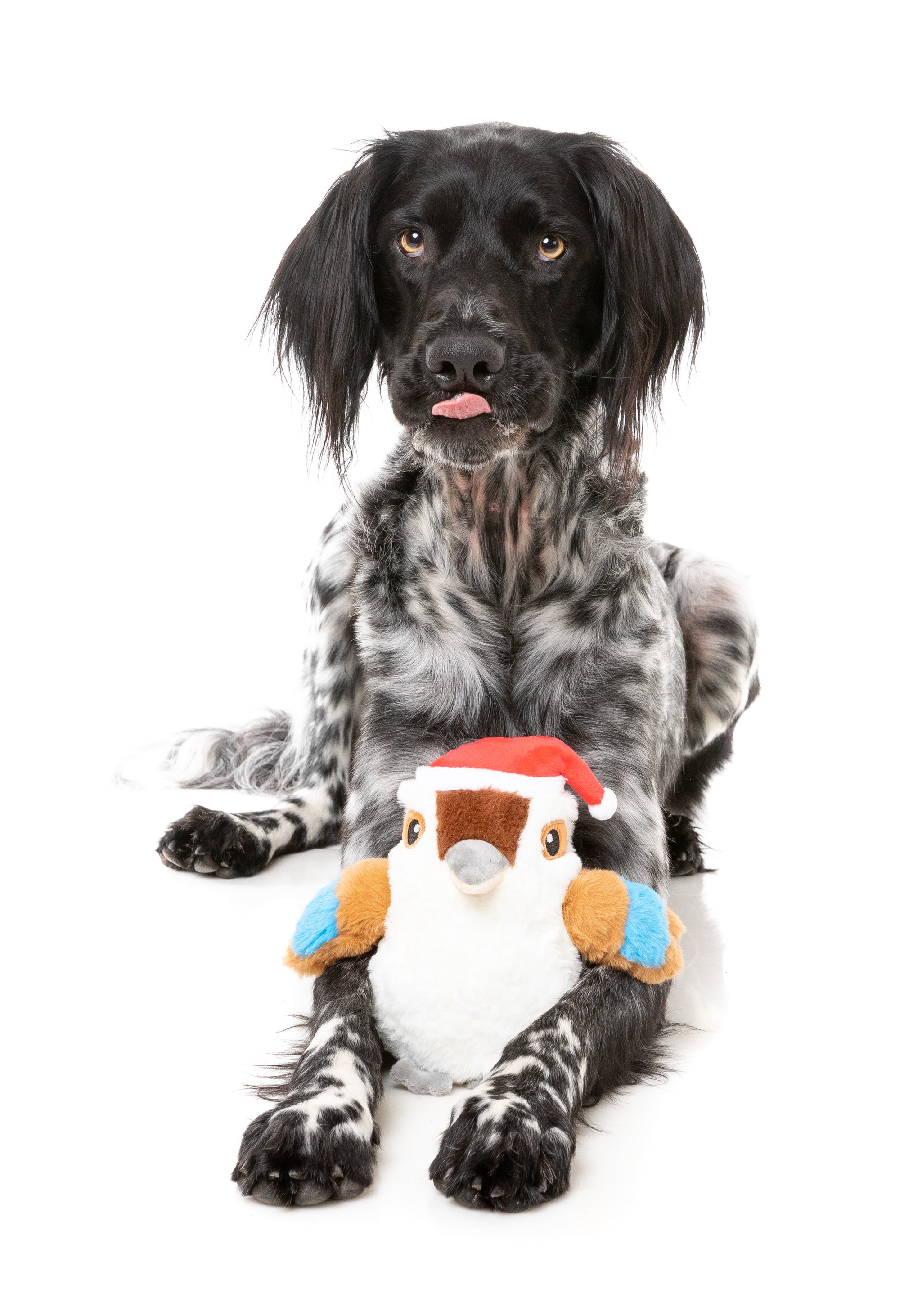 FuzzYard Ka-Tree-Na Kookaburra Dog Toy