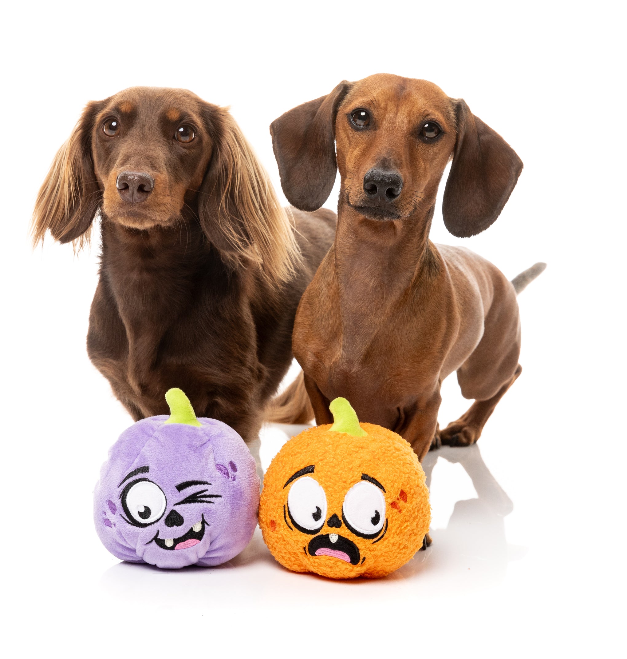 FuzzYard Trick Or Treat Duo Dog Toy 2 Pack