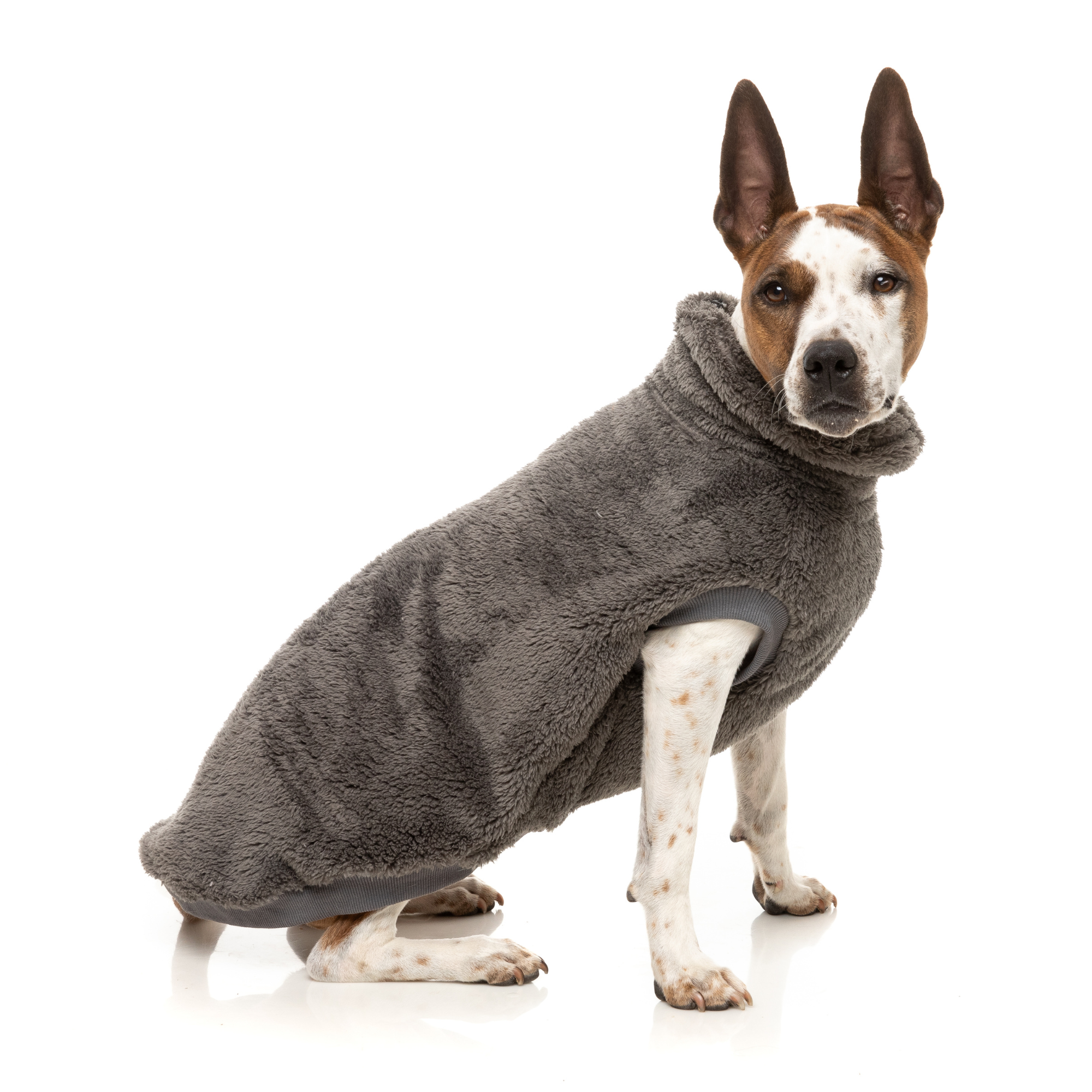 FuzzYard Turtle Teddy Dog Sweater Gunmetal Grey