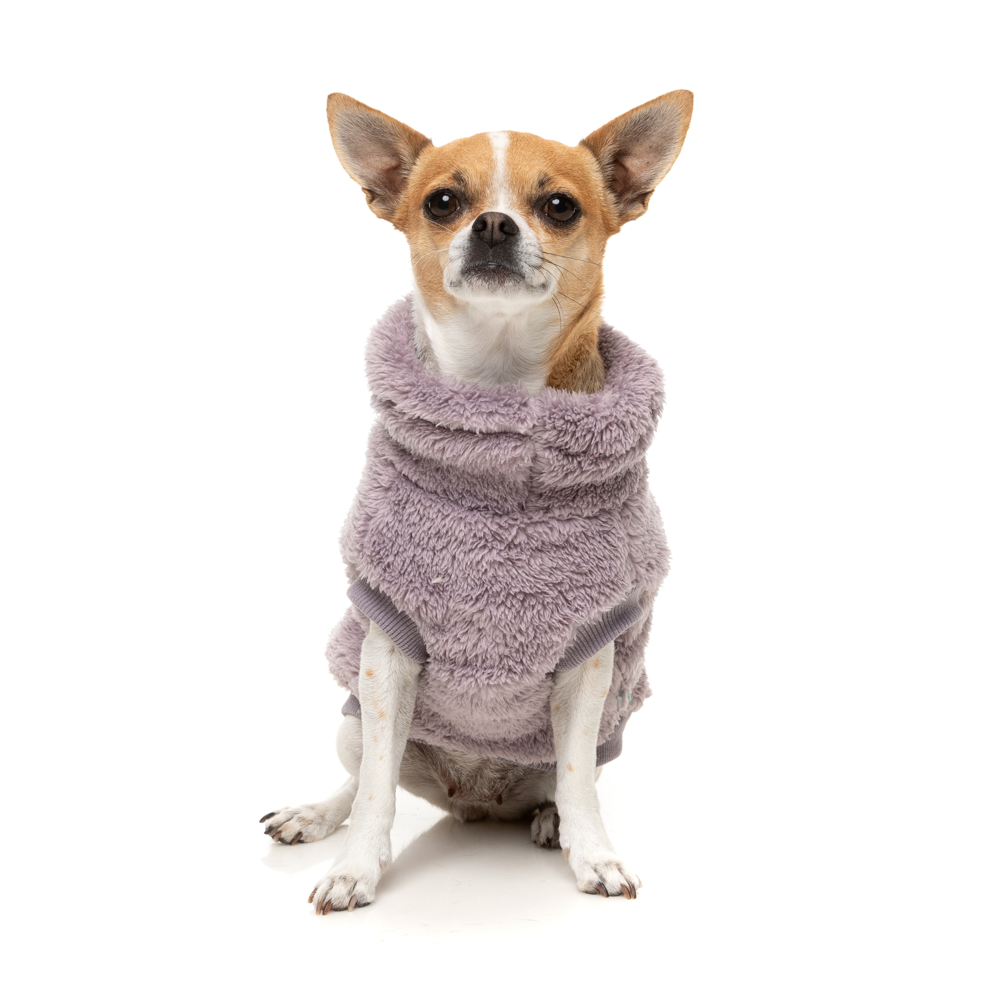 FuzzYard Turtle Teddy Dog Sweater Lavender
