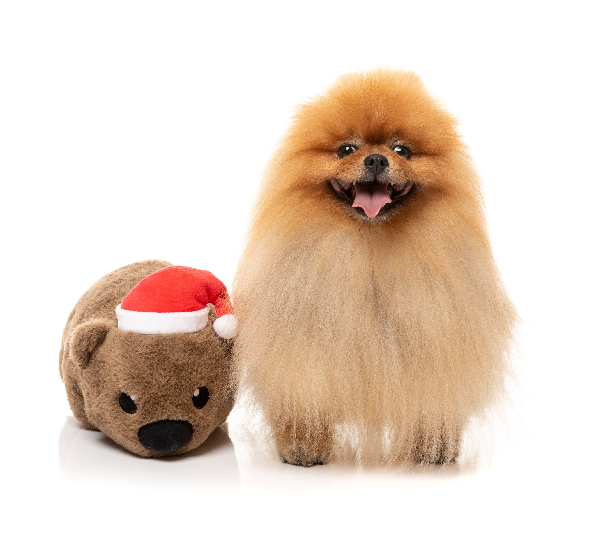 FuzzYard Wallace Wombat Dog Toy Small