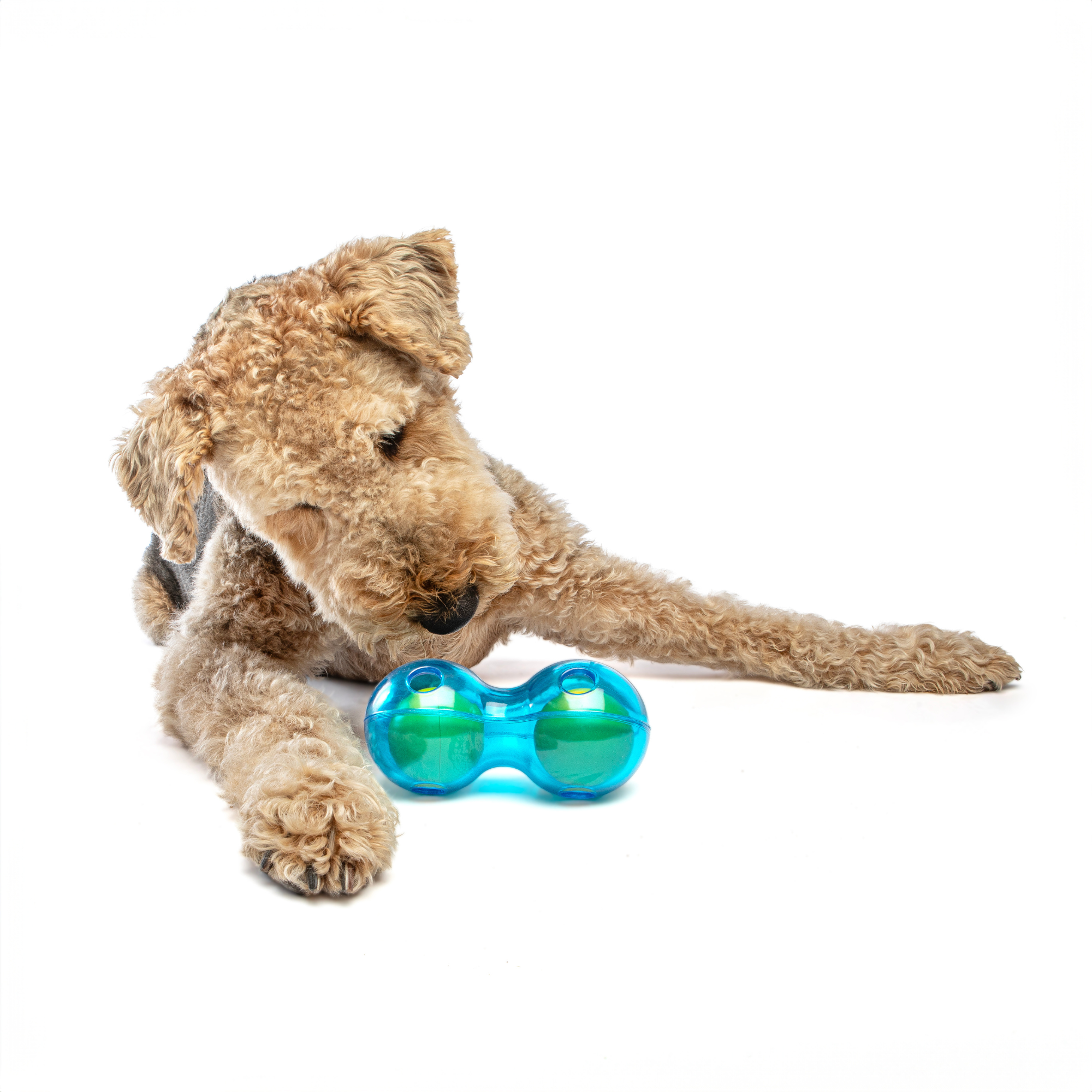 GURU Duo Ball Dog Toy Medium