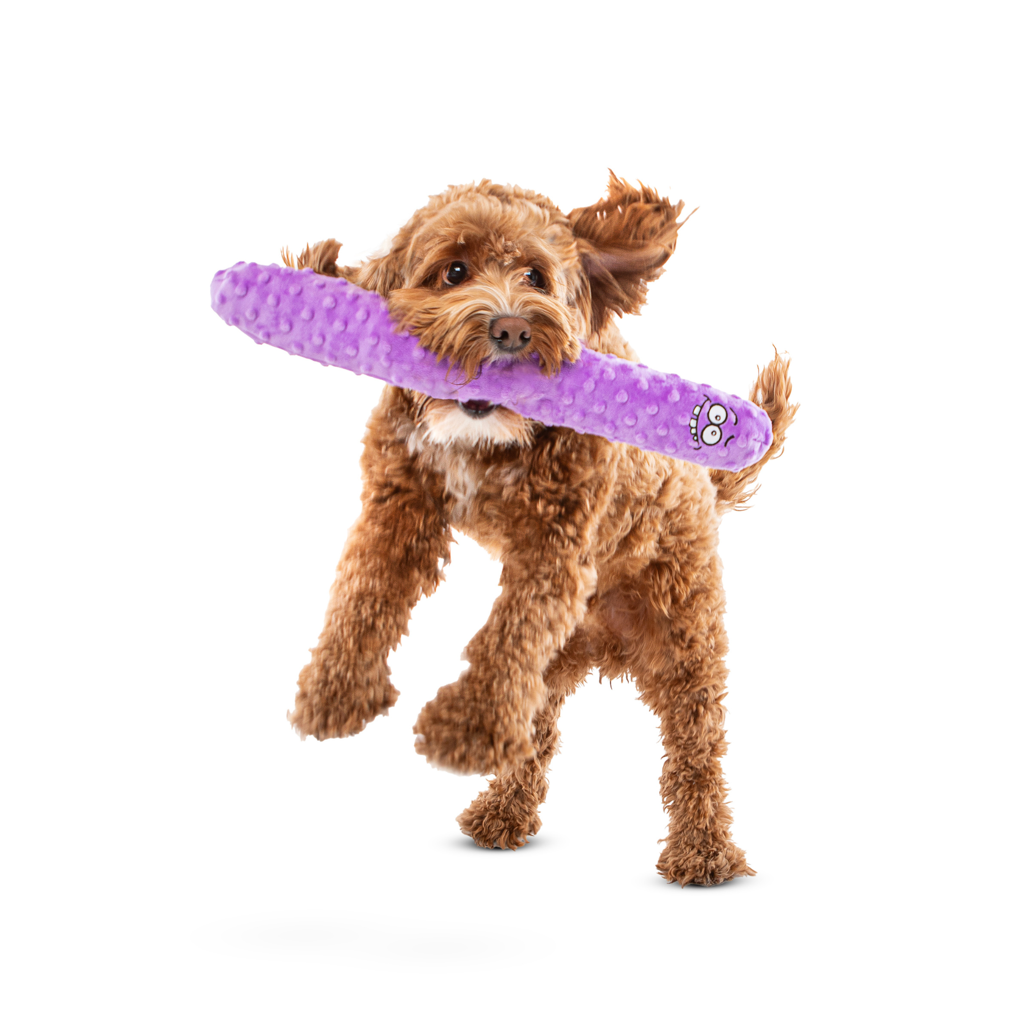GURU Fry Guys Andy Dog Toy