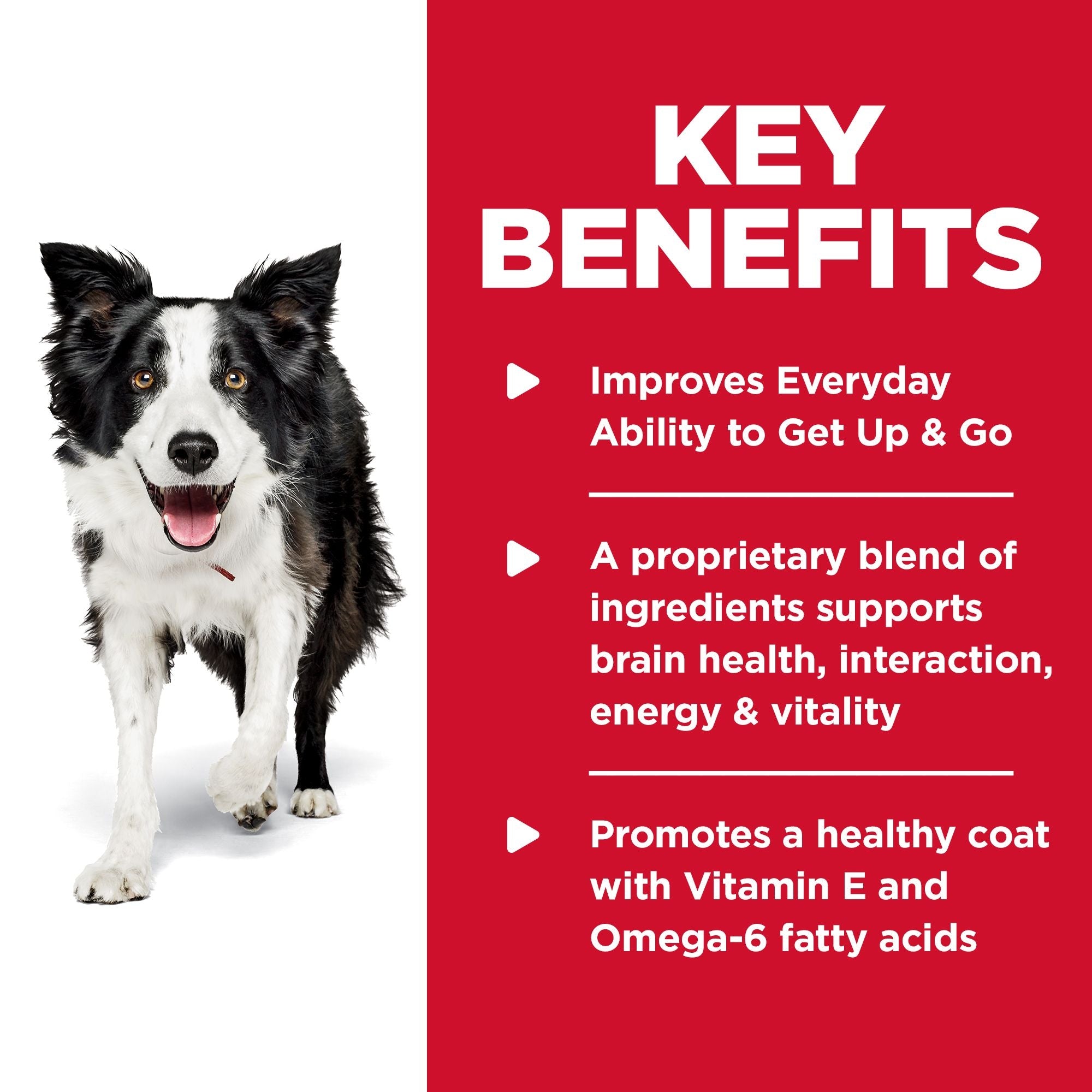 Hill's Science Diet Adult 7+ Senior Vitality Dry Dog Food 5.67kg