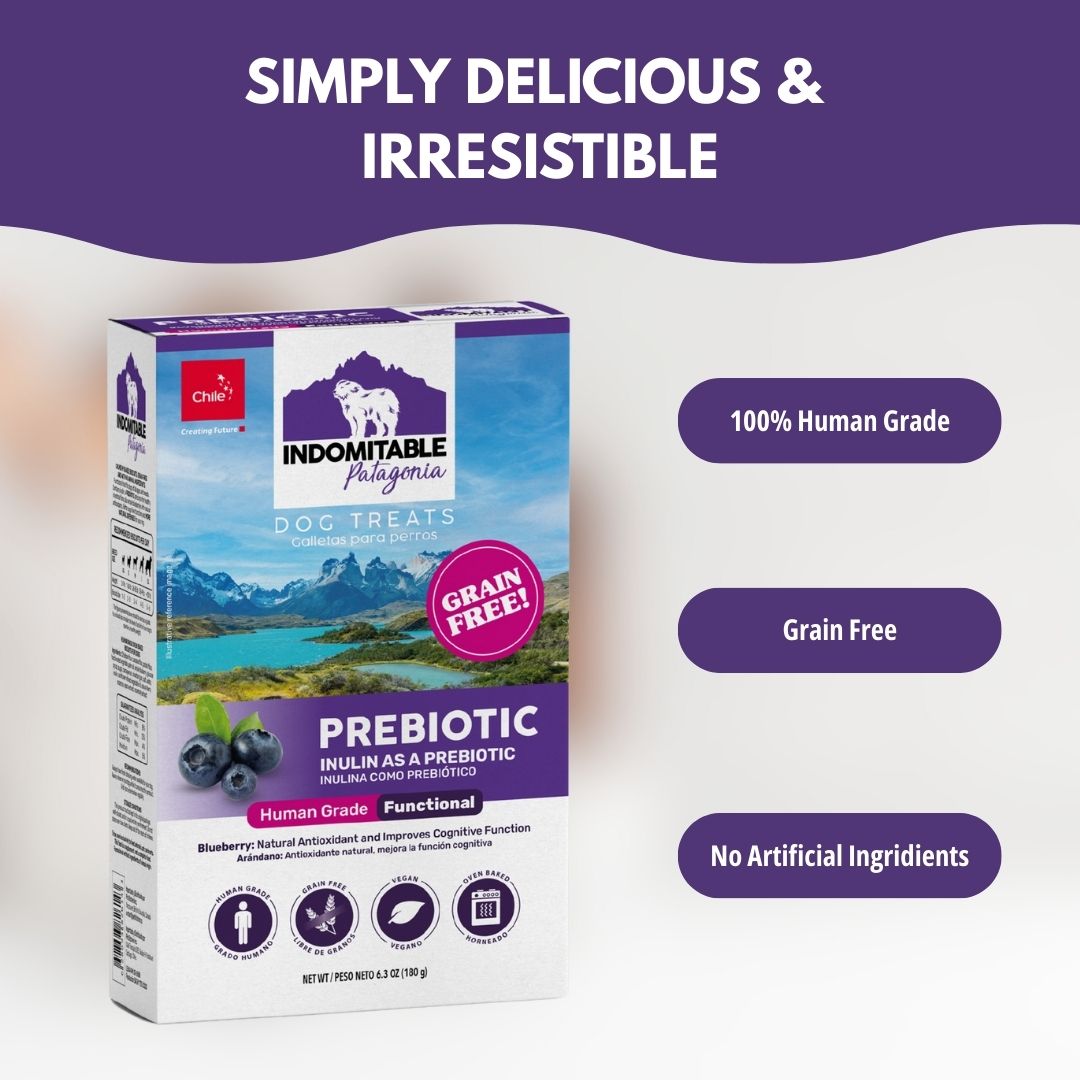 Indomitable Patagonia Prebiotic Blueberry Biscuits Grain Free Dog Treats 180g