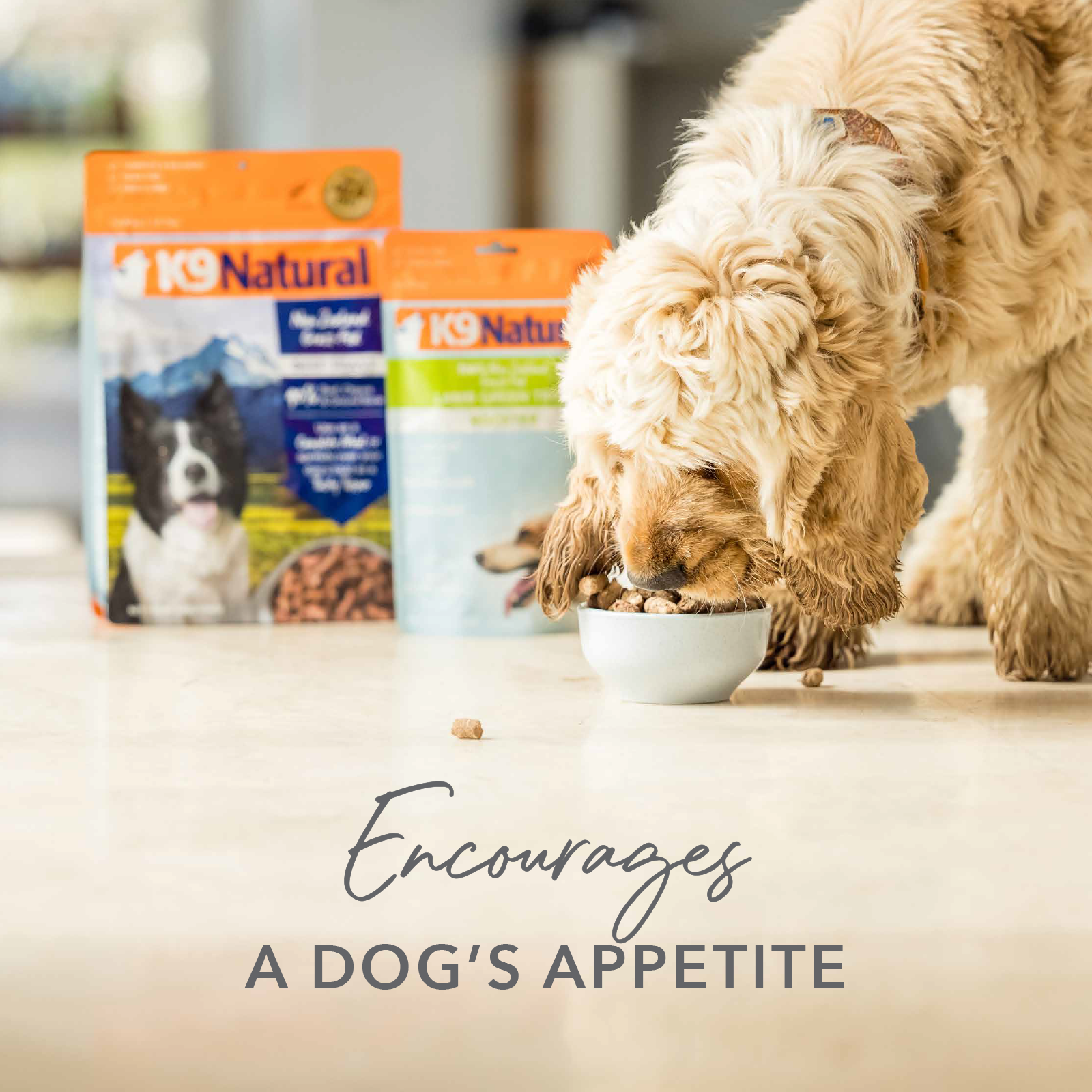 K9 Natural Grain Free Freeze Dried Dog Food Supplement Booster Beef Green Tripe