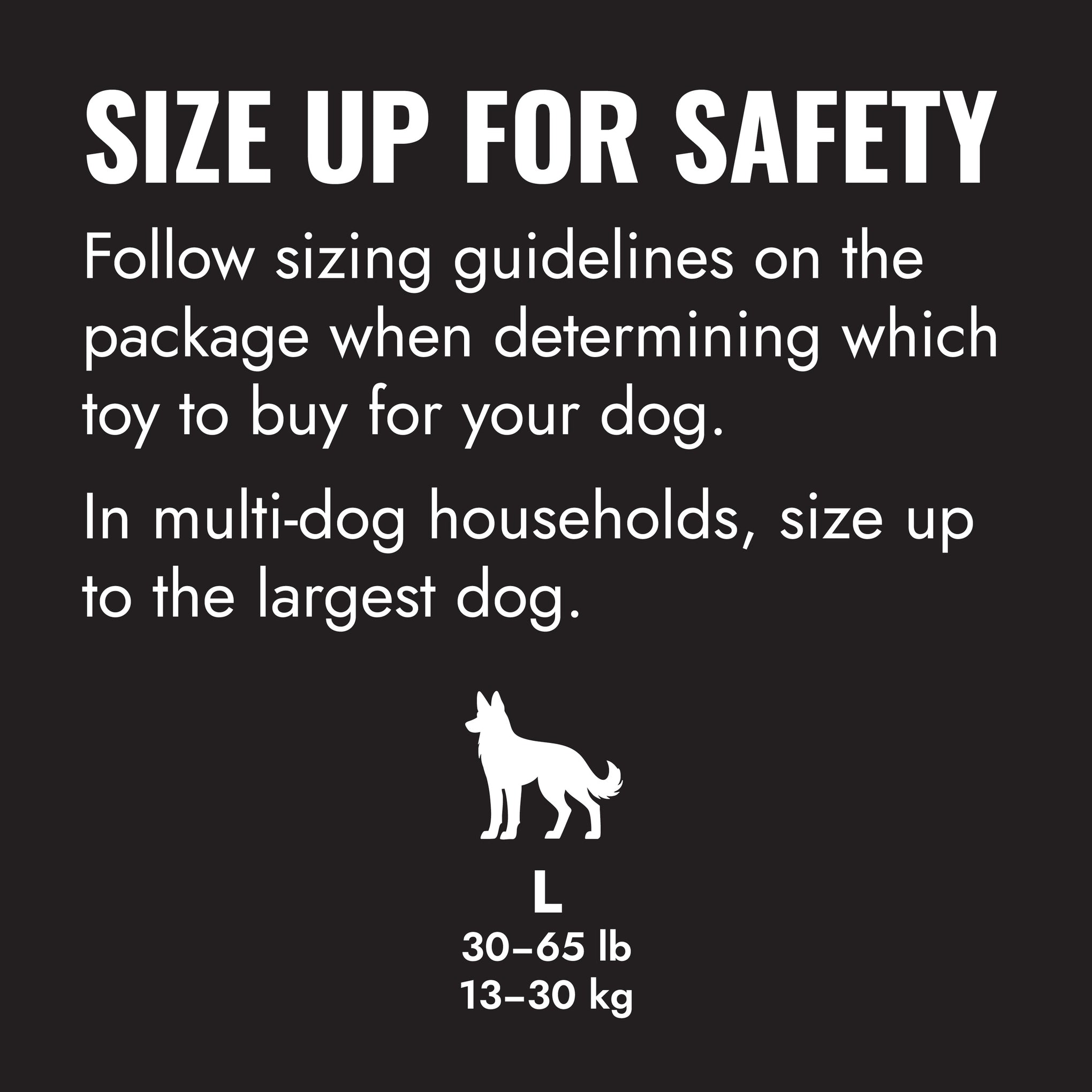 KONG Extreme Flyer Dog Toy