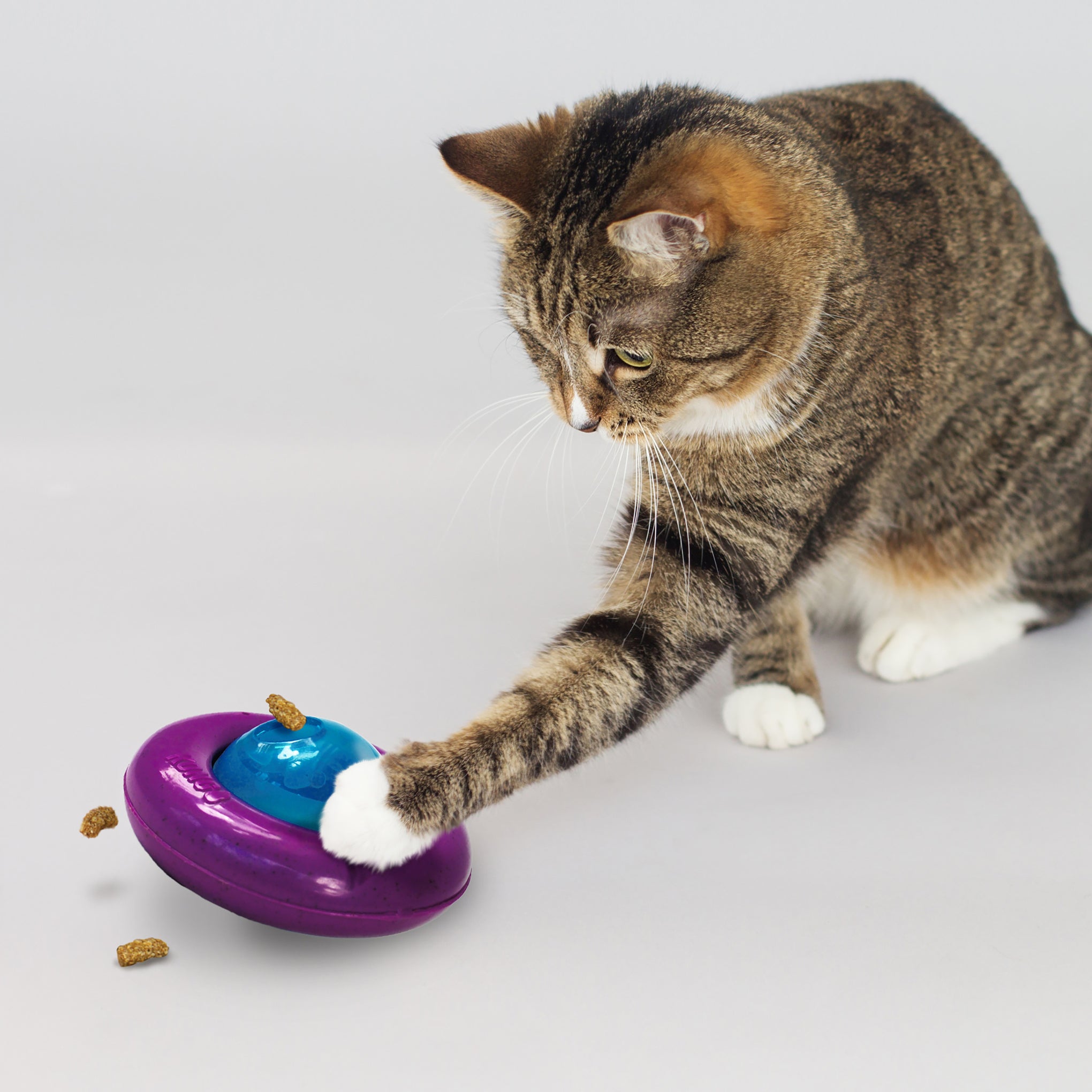 KONG Infused Cat Gyro Interactive Cat Toy
