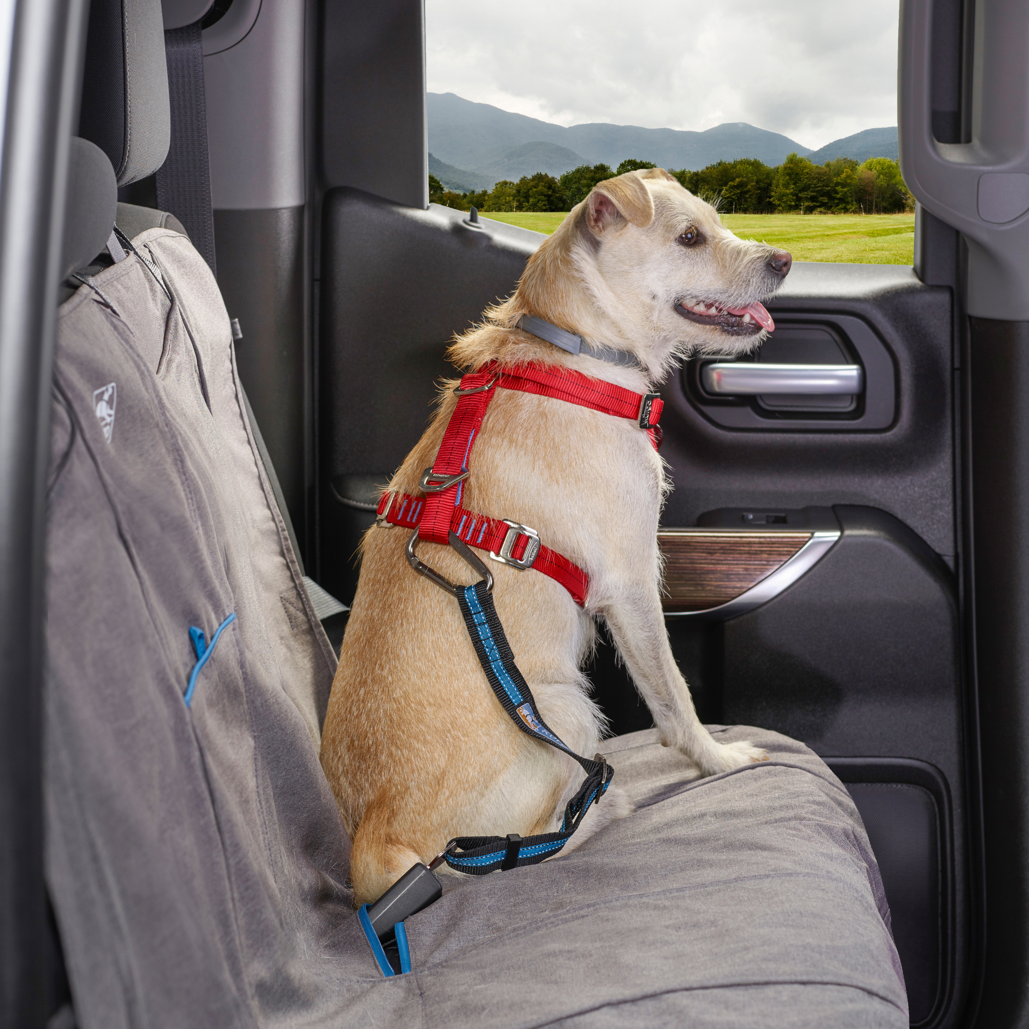 Kurgo Direct to Seat Belt Pet Tether