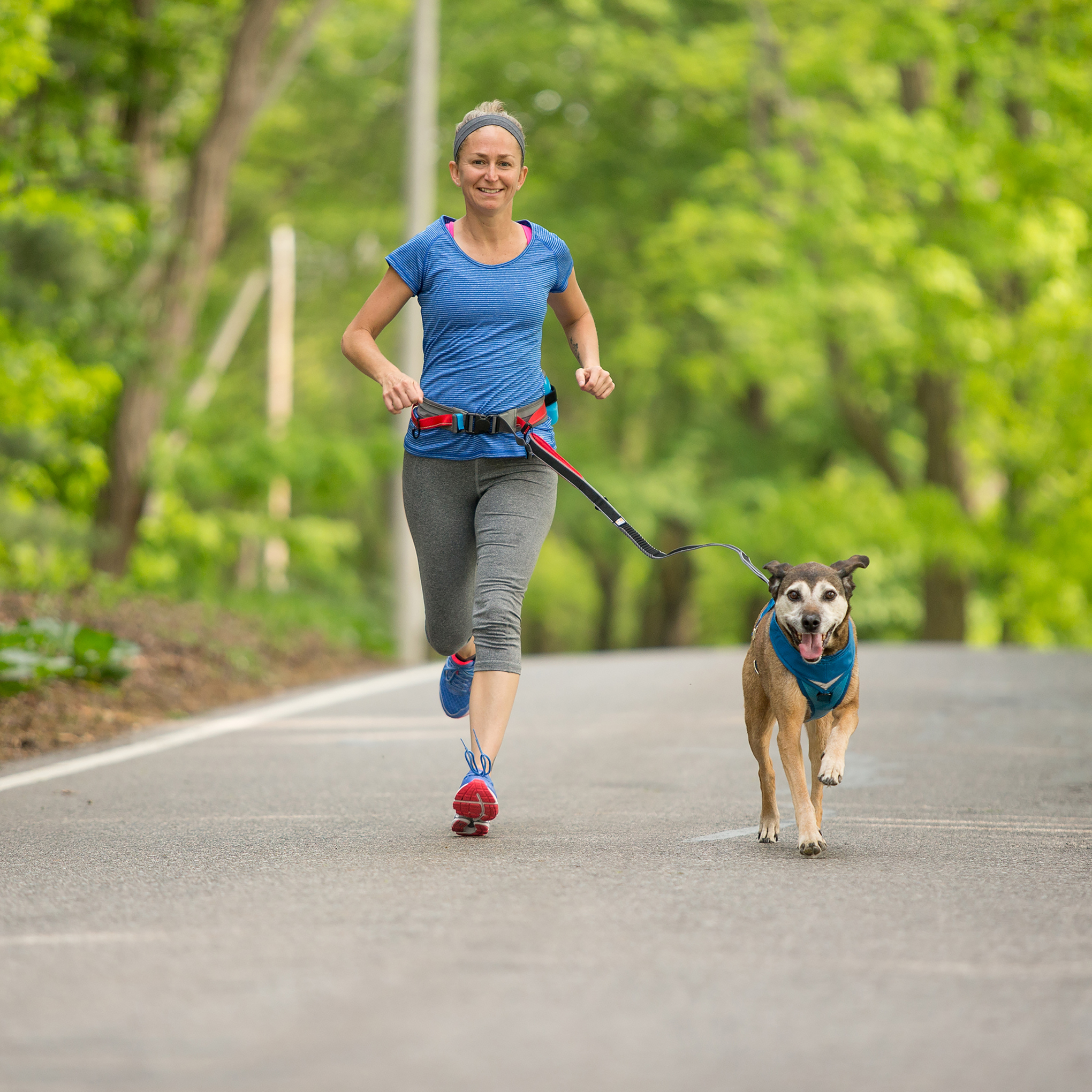 Kurgo Springback Hiking and Running Dog Lead