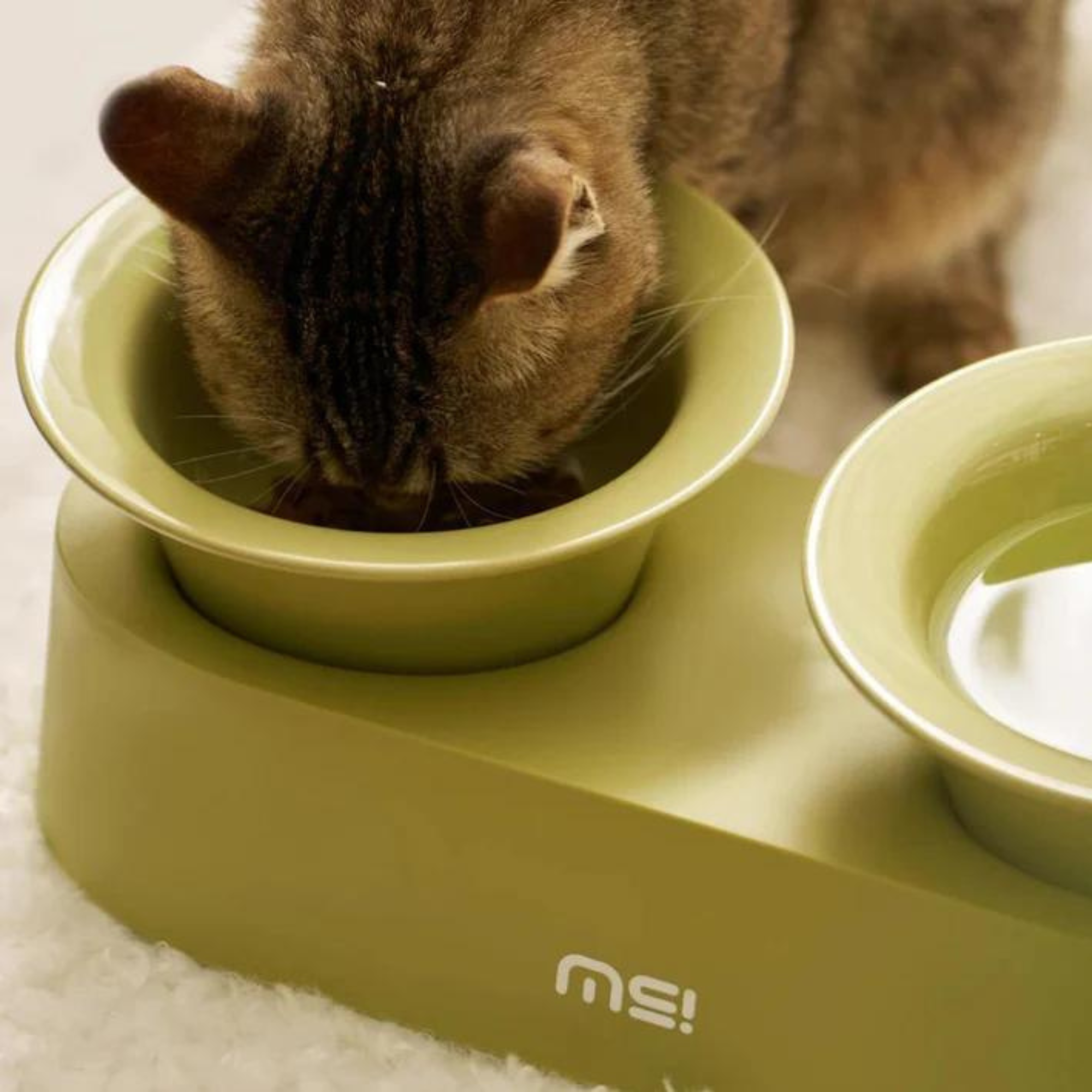 Makesure Jingle 2 in 1 Ceramic Pet Bowl Green