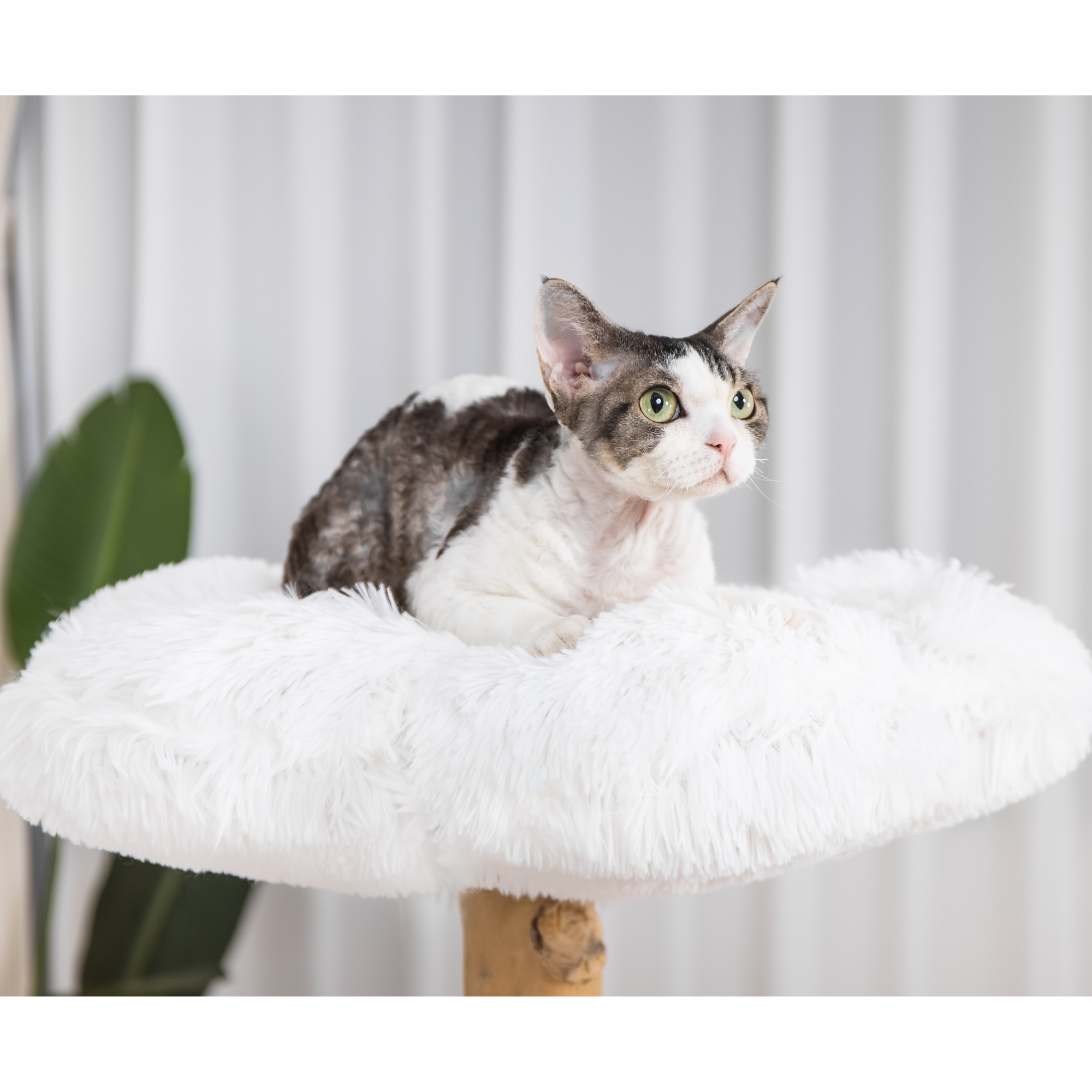 Michu Fluffy Blossom Real Wooden Cat Tree Extra Large