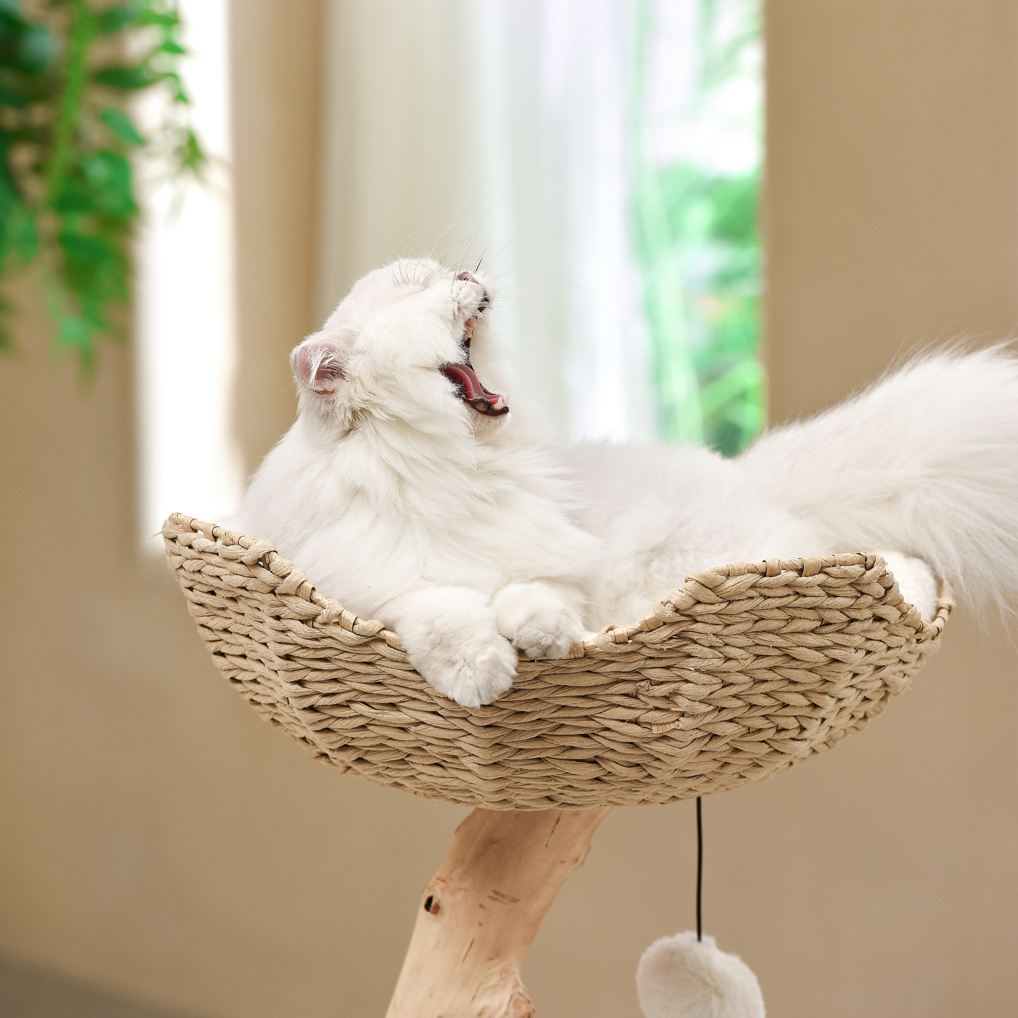 Michu Premium Real Wooden Cat Tree Medium