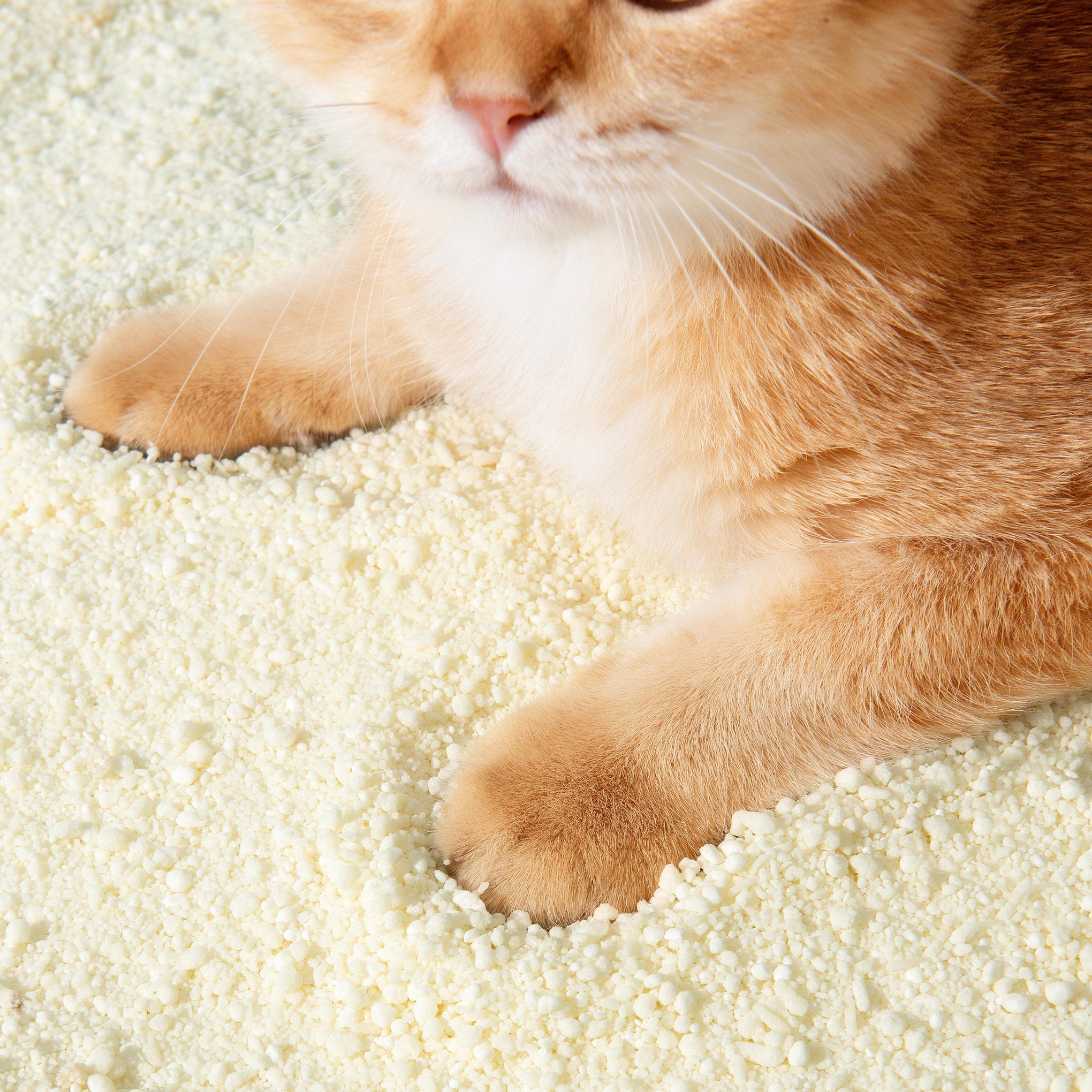 Michu Wonder Plant Based Cat Litter 2.5kg x 3