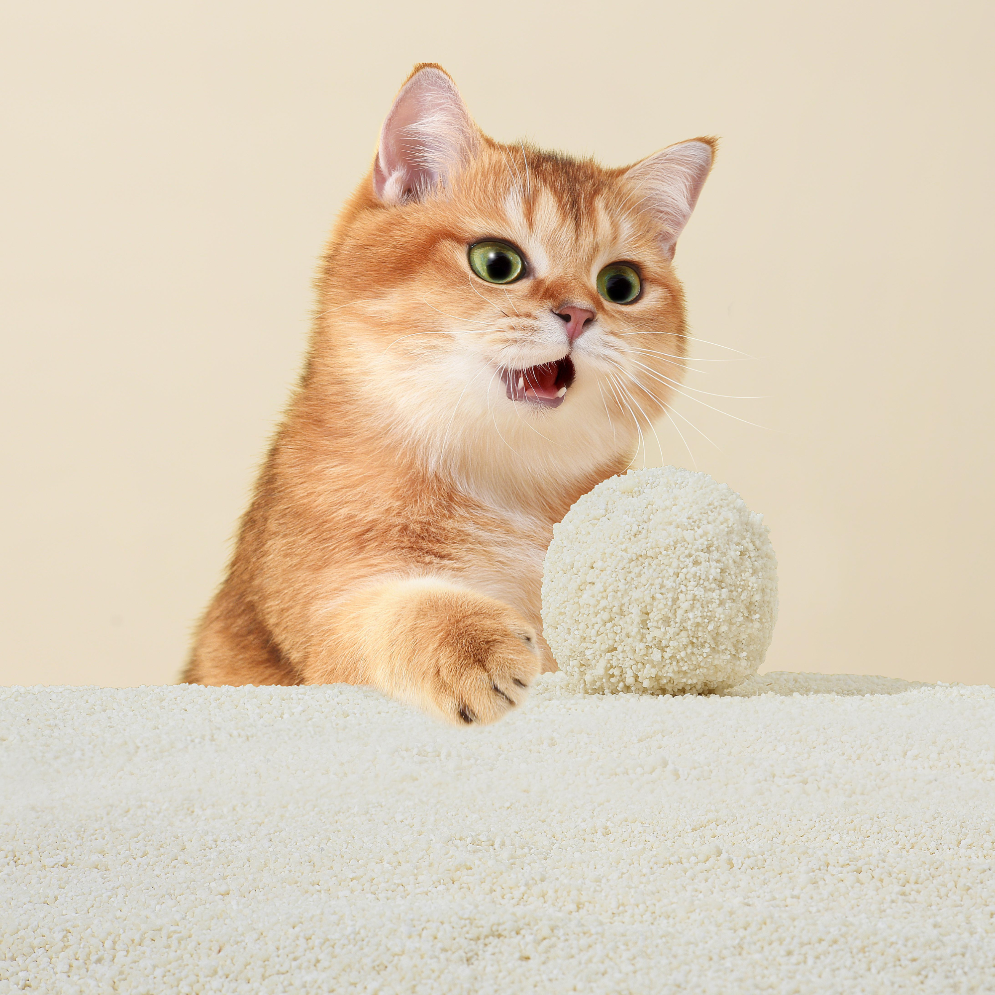 Michu Wonder Plant Based Cat Litter Unscented 2.5kg