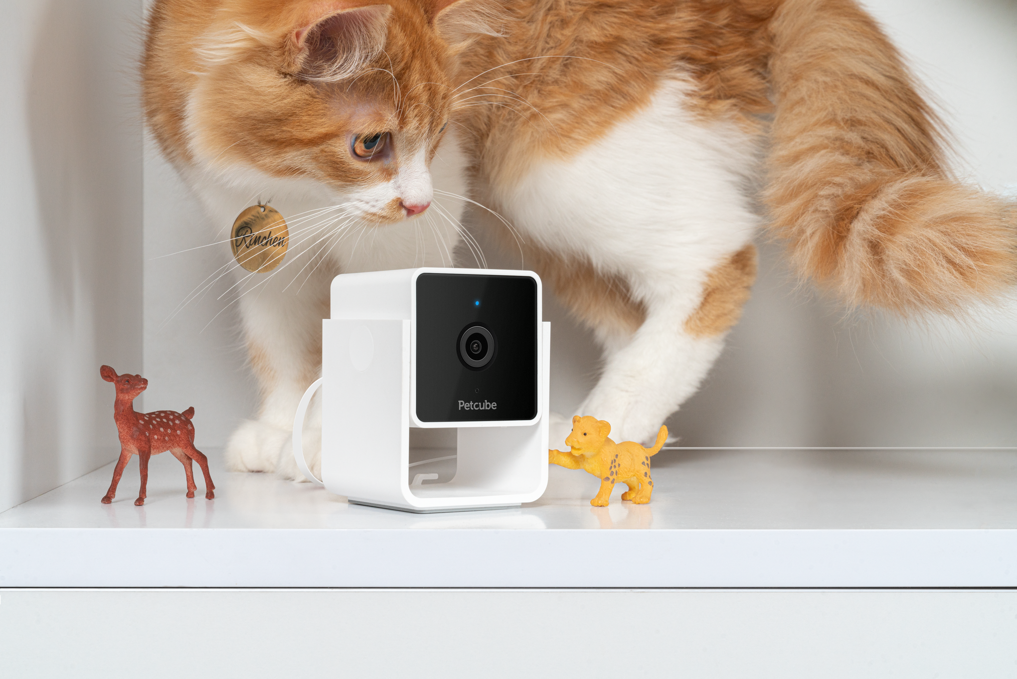 Petcube Pet Cam