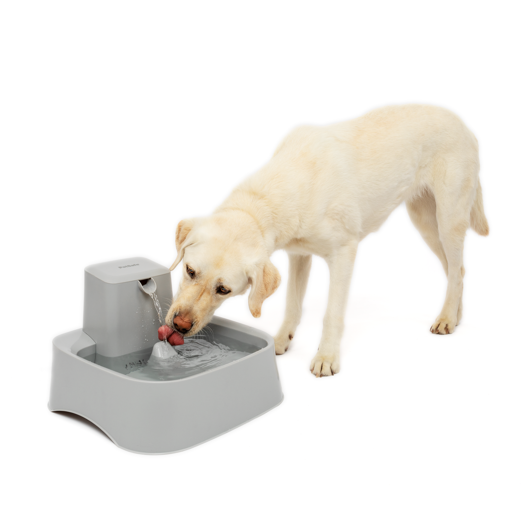 PetSafe DrinkWell Pet Fountain