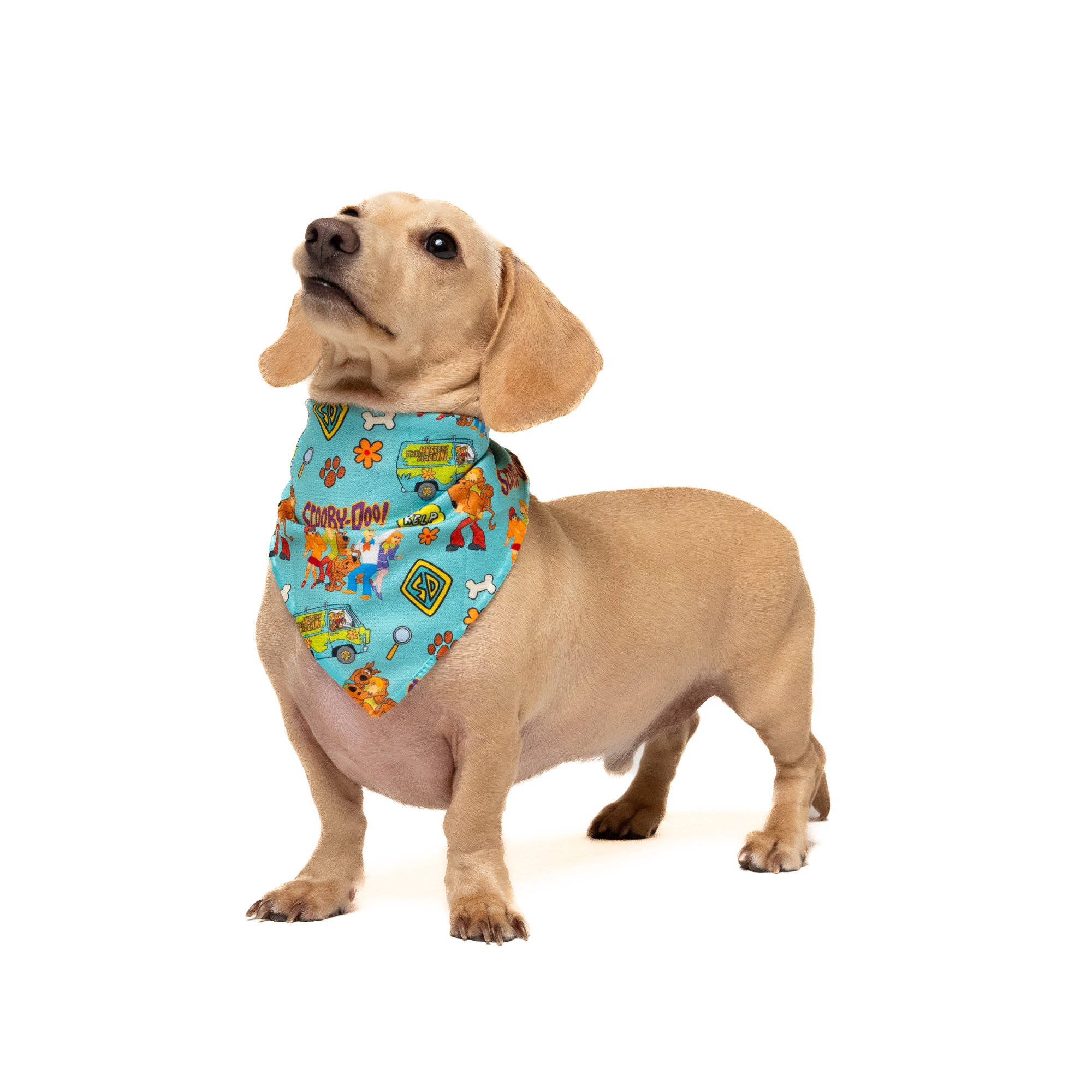 Petverse Scooby-Doo Pet Bandana