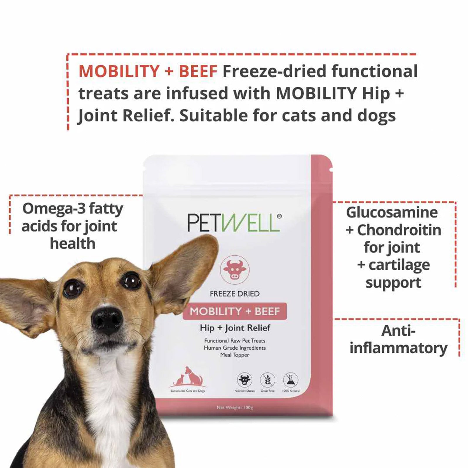 PetWell Mobility + Beef Dog and Cat Functional Treats 100g
