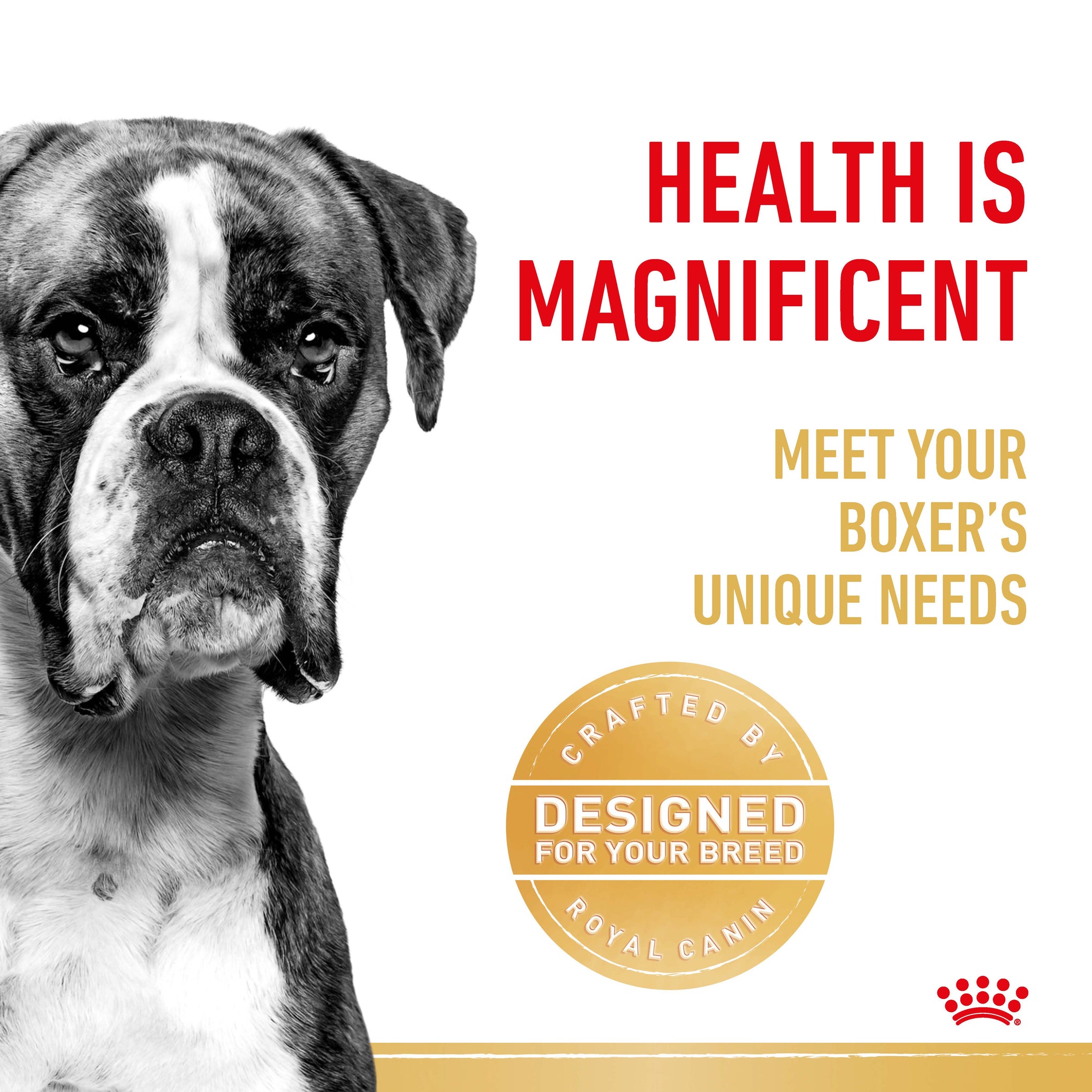 Royal Canin Dog Boxer Adult Dry Food 12kg