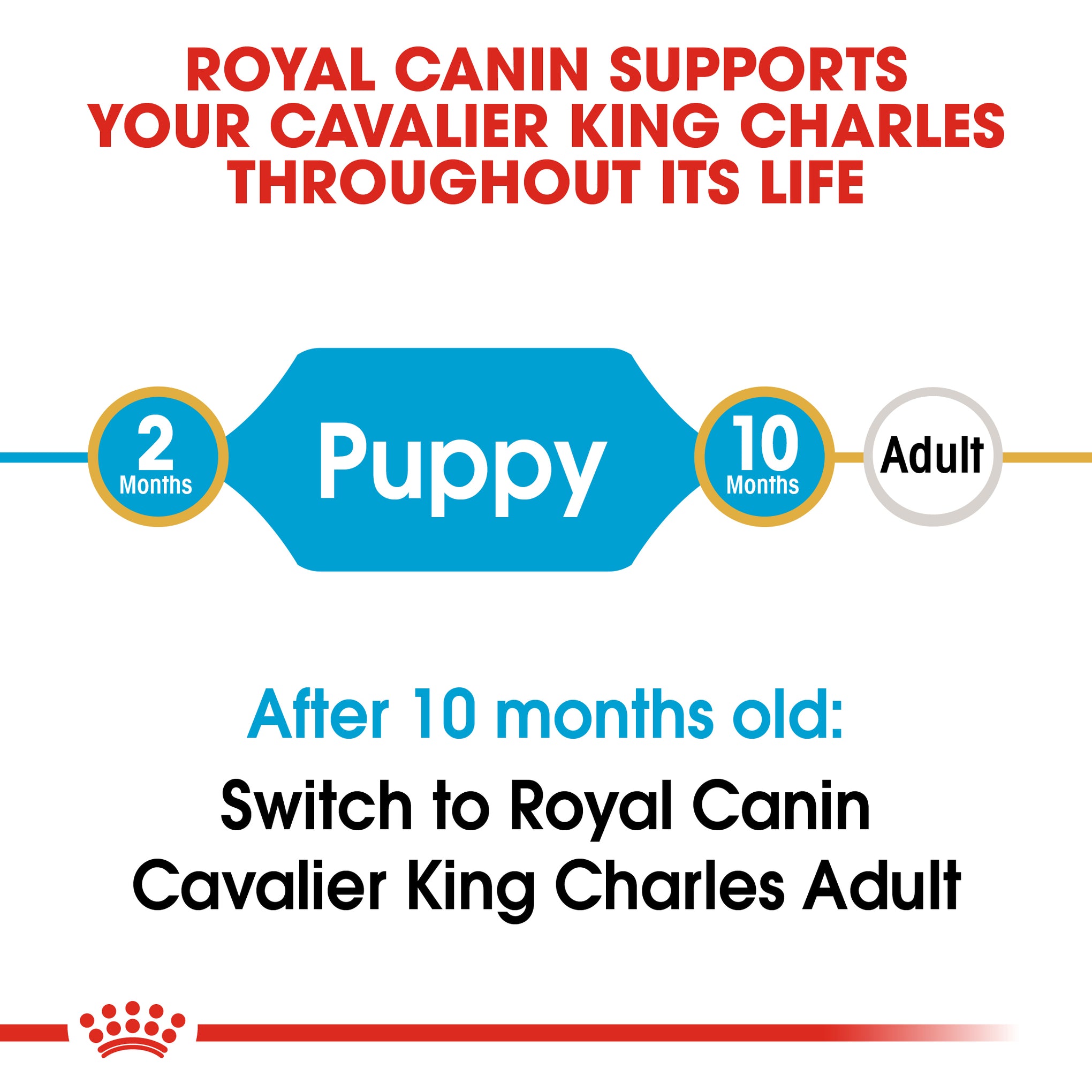 Royal Canin Dog Cavalier King Charles Puppy Dry Food 1.5kg