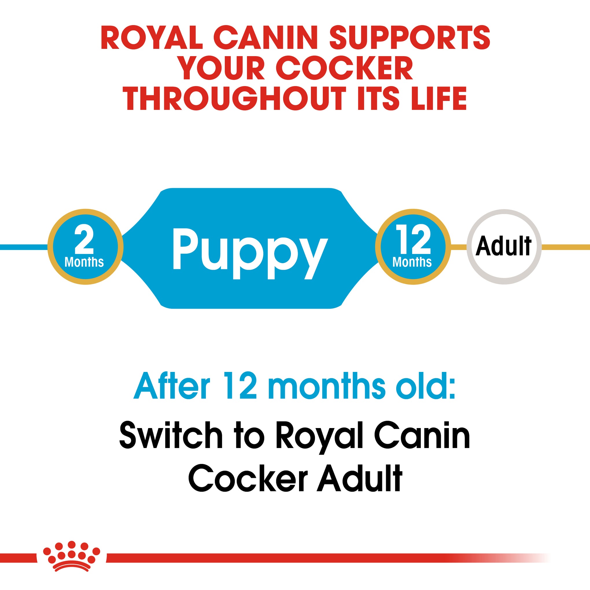 Royal Canin Dog Cocker Spaniel Puppy Dry Food 3kg