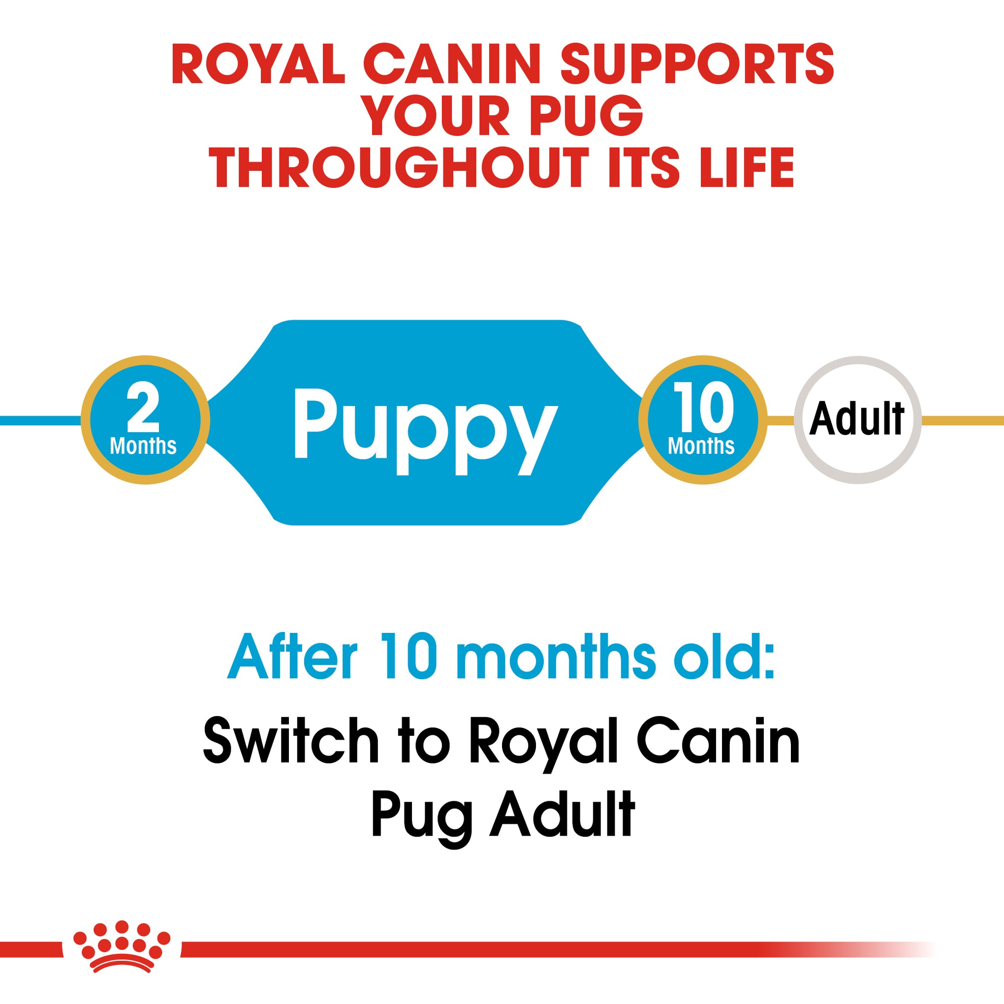 Royal Canin Dog Pug Puppy Dry Food 1.5kg
