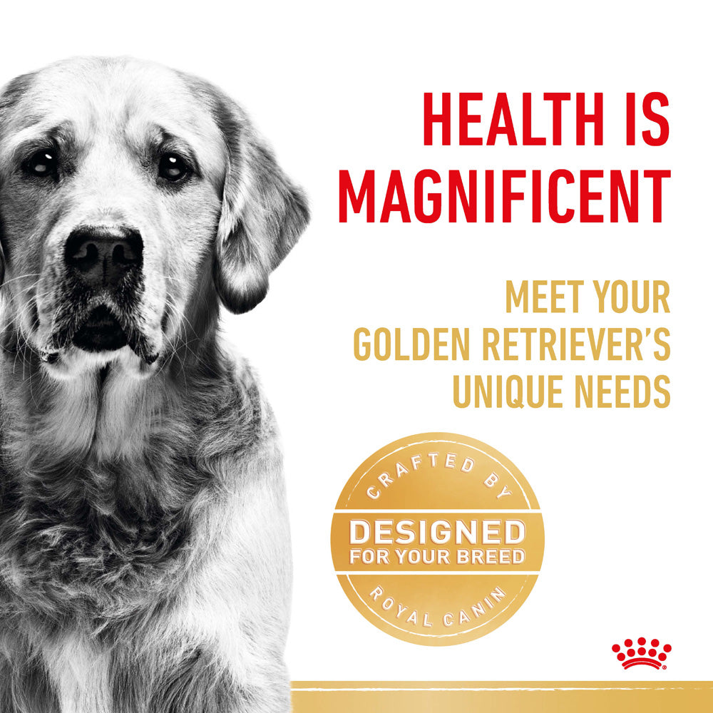 Royal canin golden retriever senior sales