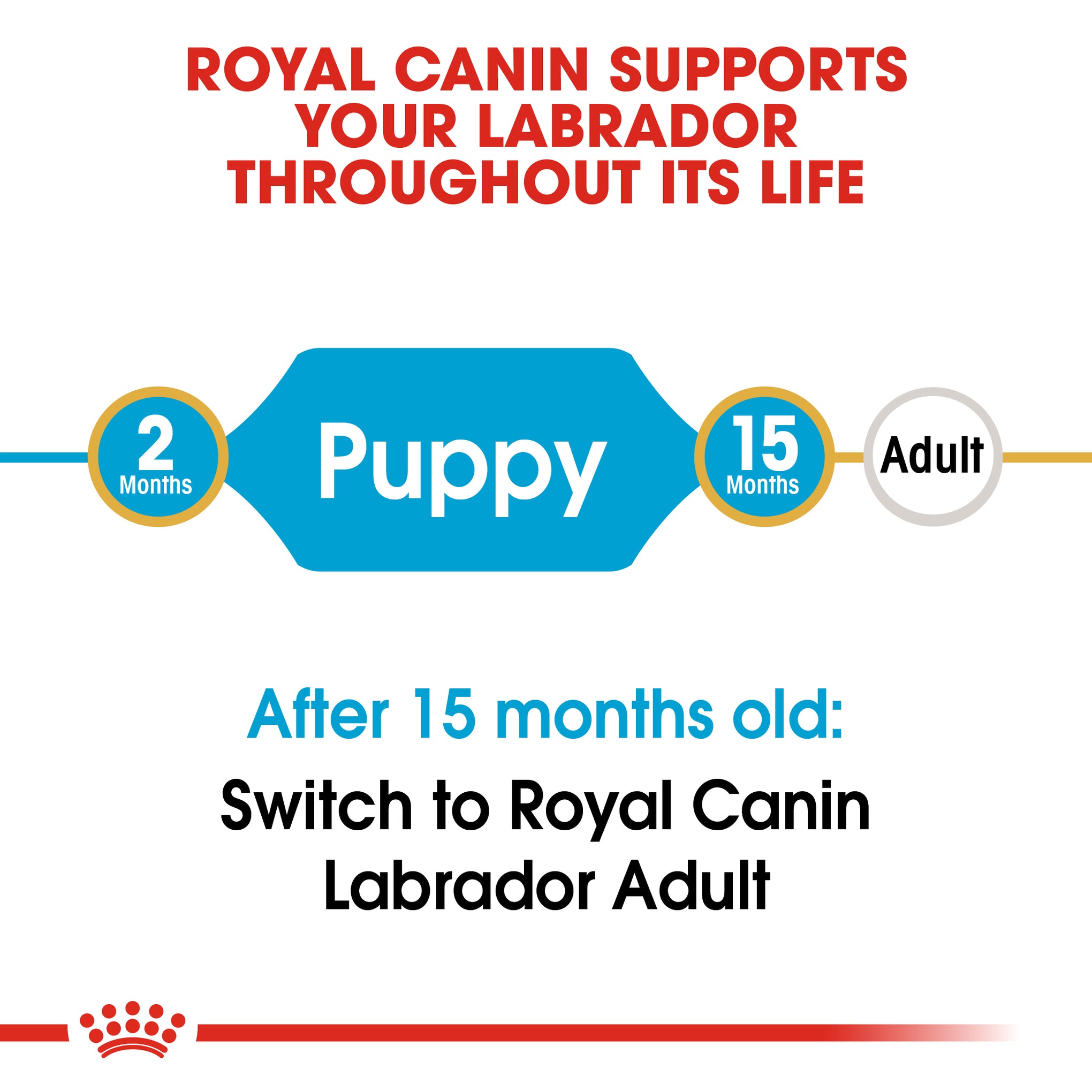 Royal Canin Labrador Puppy Dry Dog Food 12kg