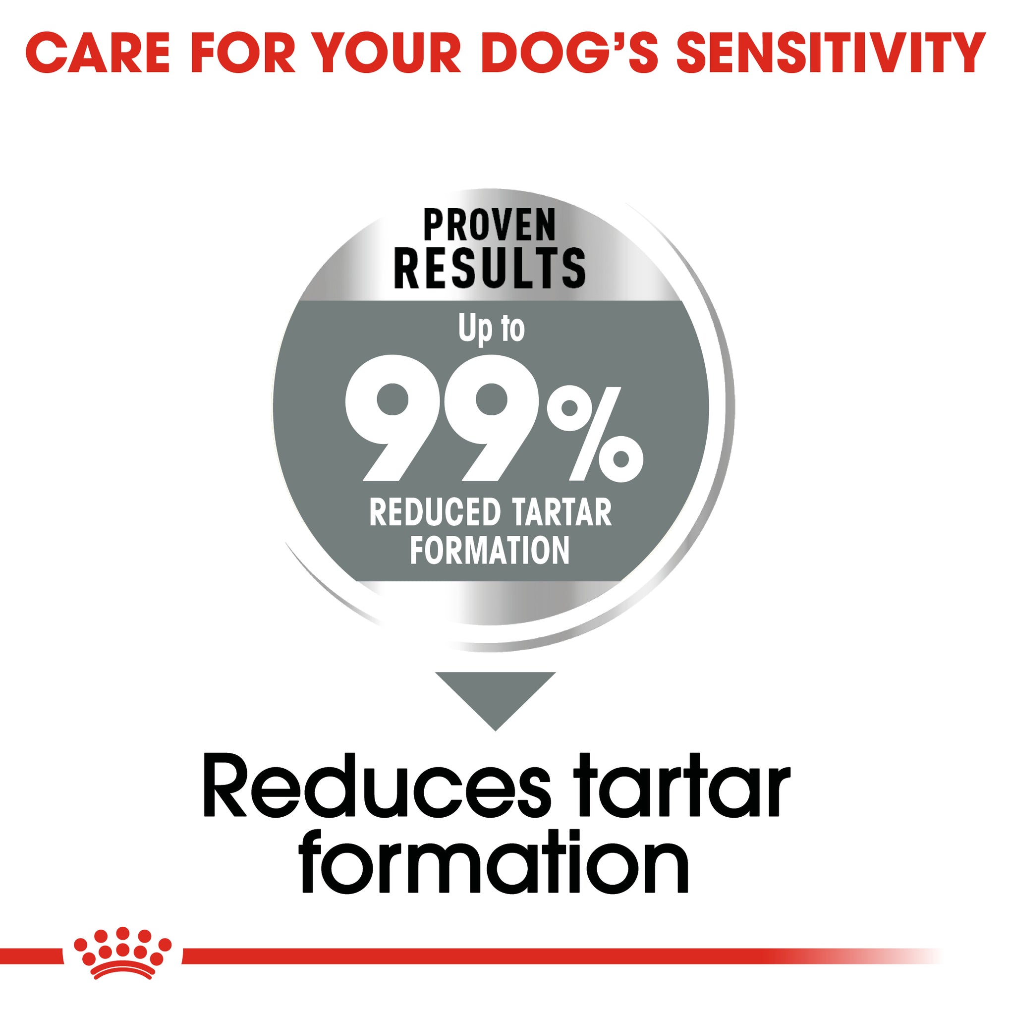 Royal Canin Medium Dental Health Care Adult Dry Dog Food 10kg