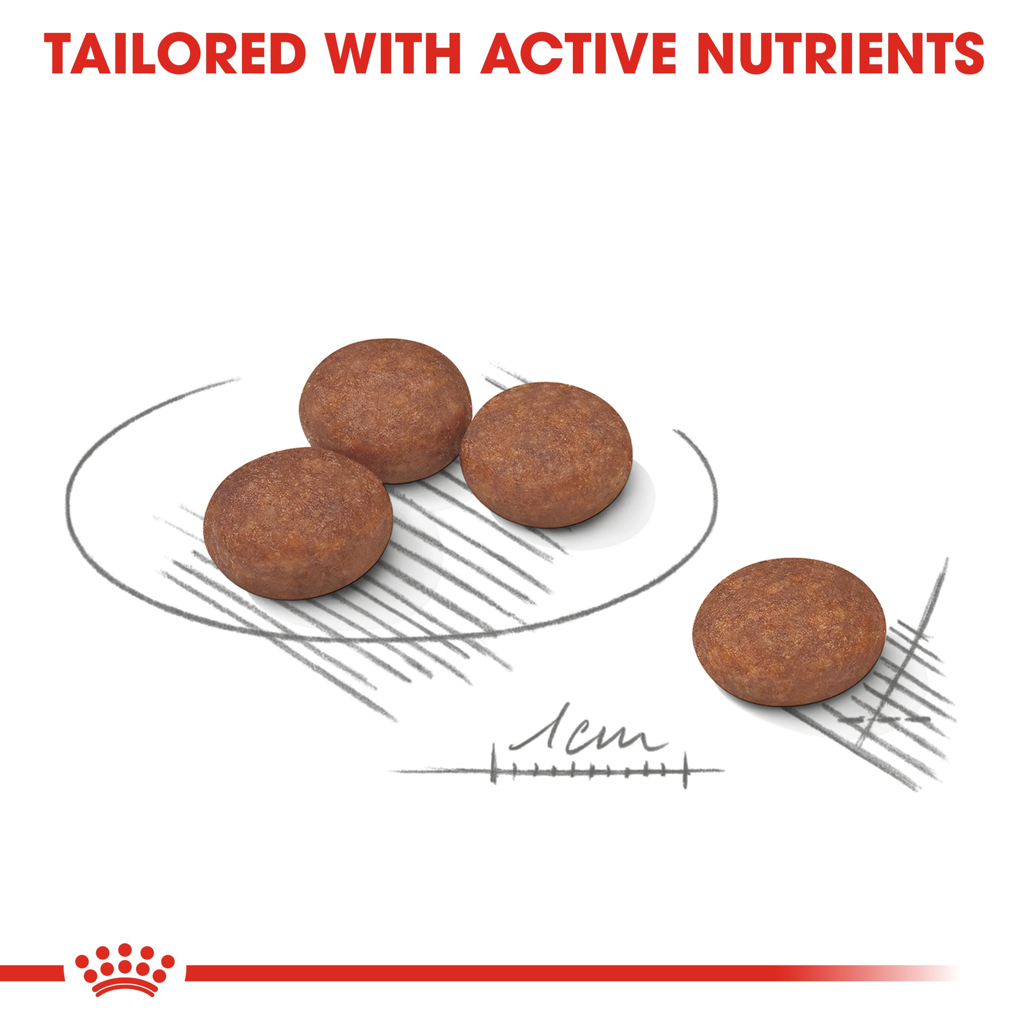 Royal Canin Mini Adult Digestive Care Dry Dog Food