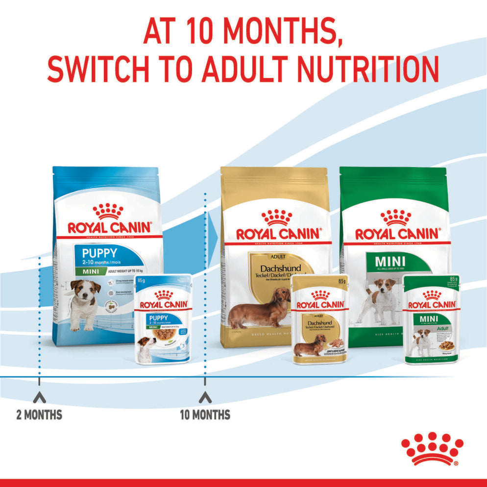 Puppy food pouches best sale