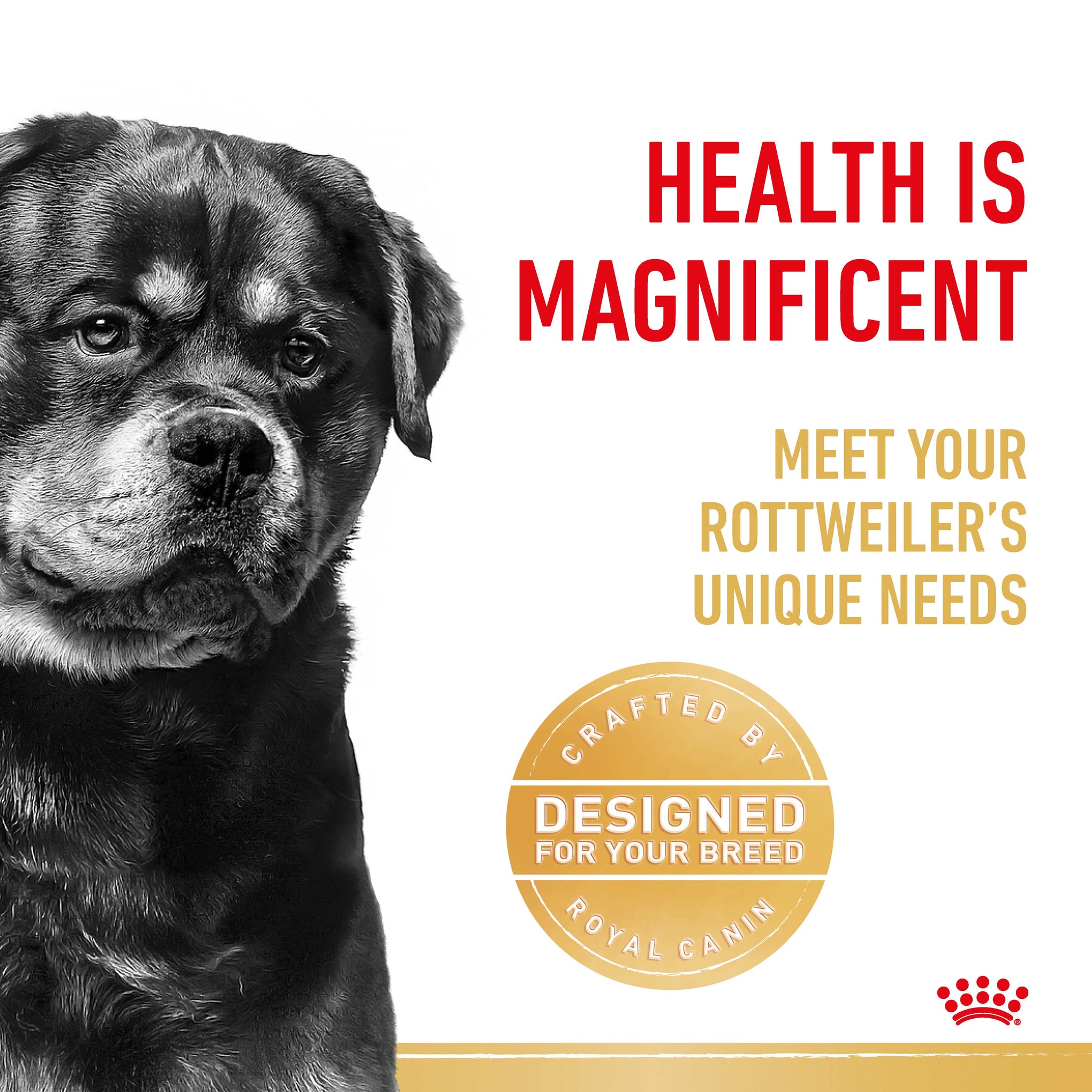 Royal Canin Rottweiler Adult Dry Dog Food 12kg