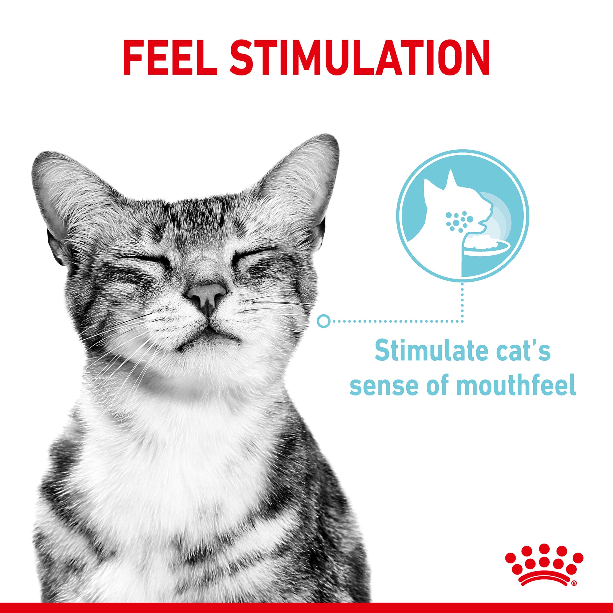 Royal Canin Sensory Feel Gravy Adult Wet Cat Food Pouches 85g x 12