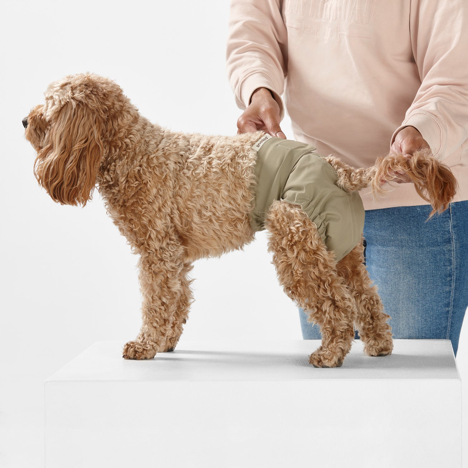 Snooza Washable Nappy Pant for Female Dogs 2 Pack