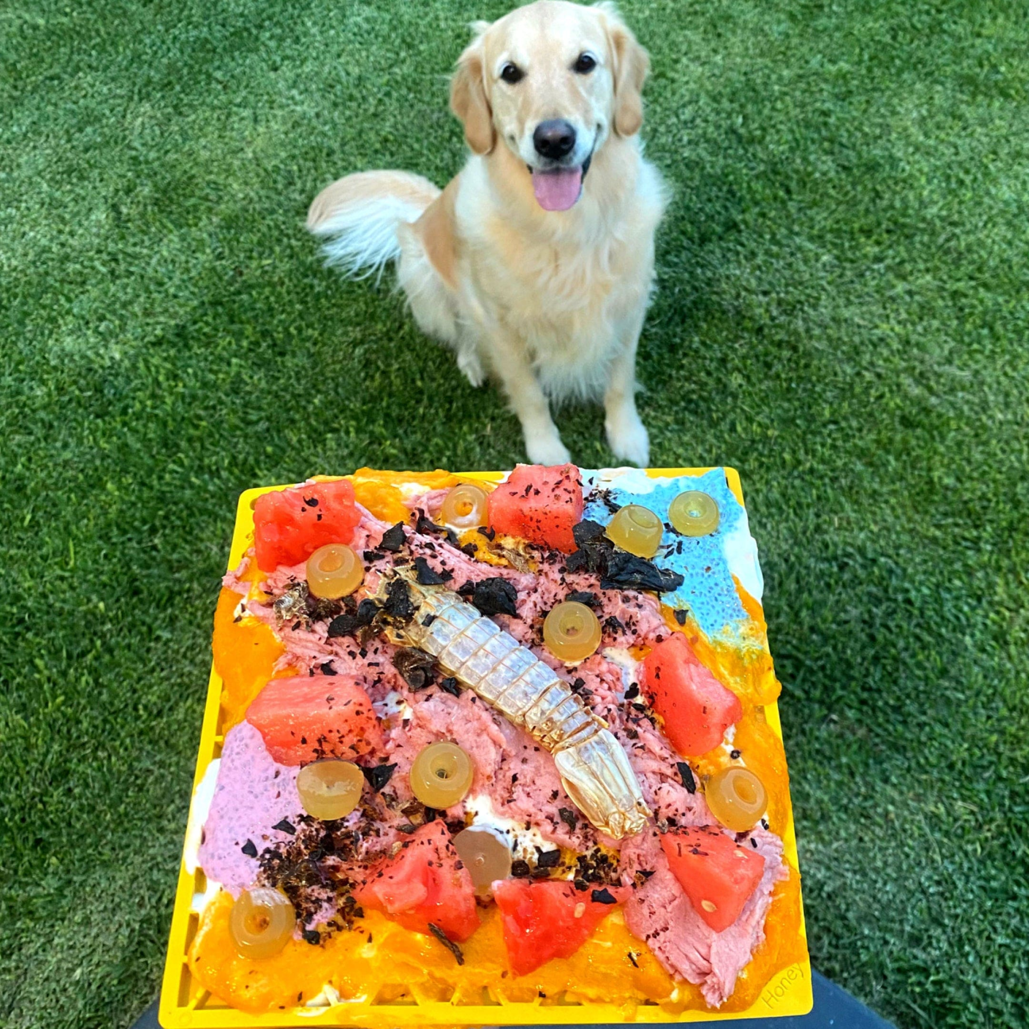 SodaPup Honeycomb eMat Dog Lick Mat Yellow